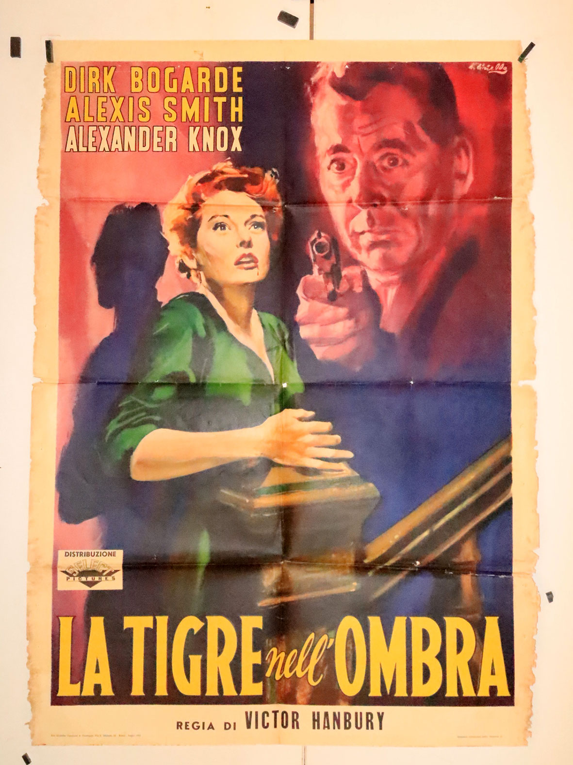 LA TIGRE NELLOMBRA