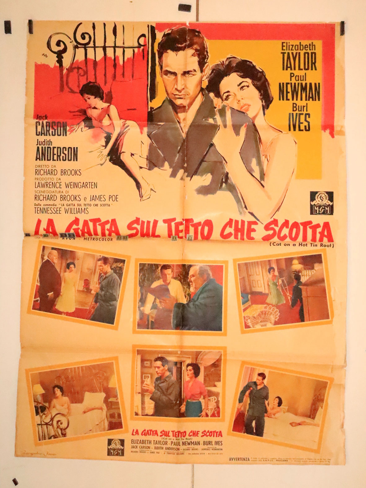 LA GATTA SUL TETTO CHE SCOTTA