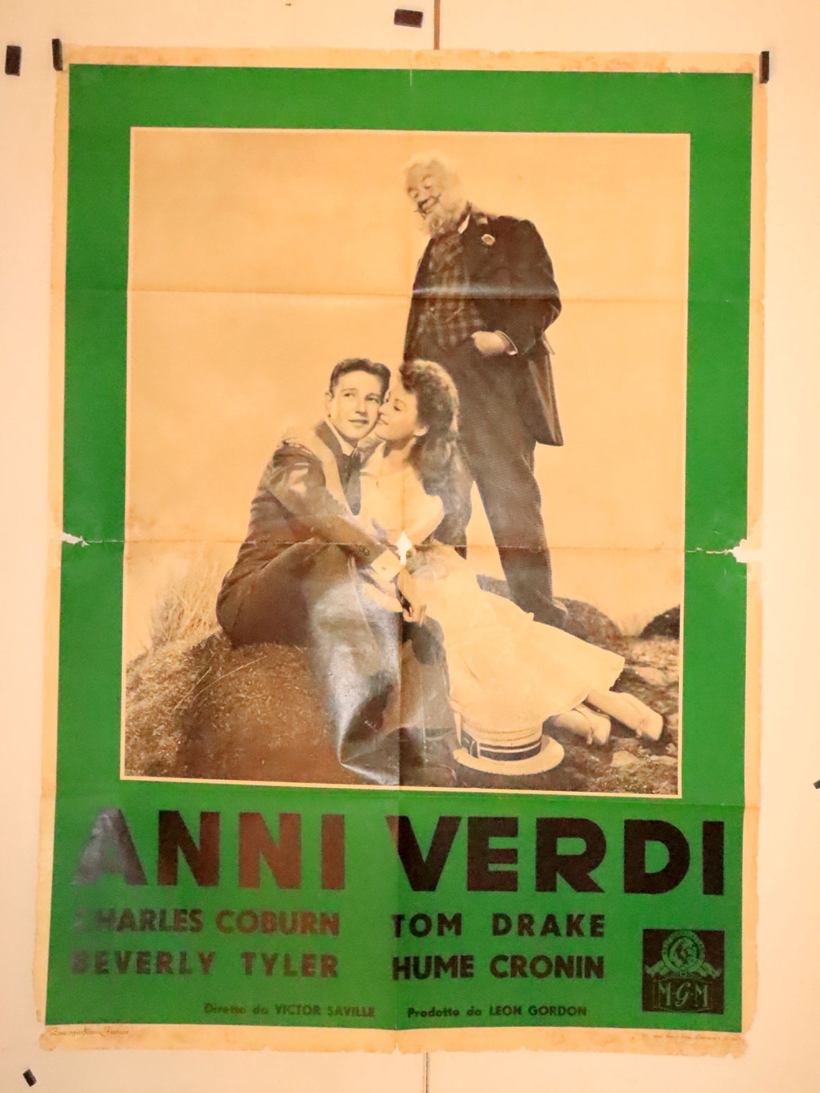 ANNI VERDI