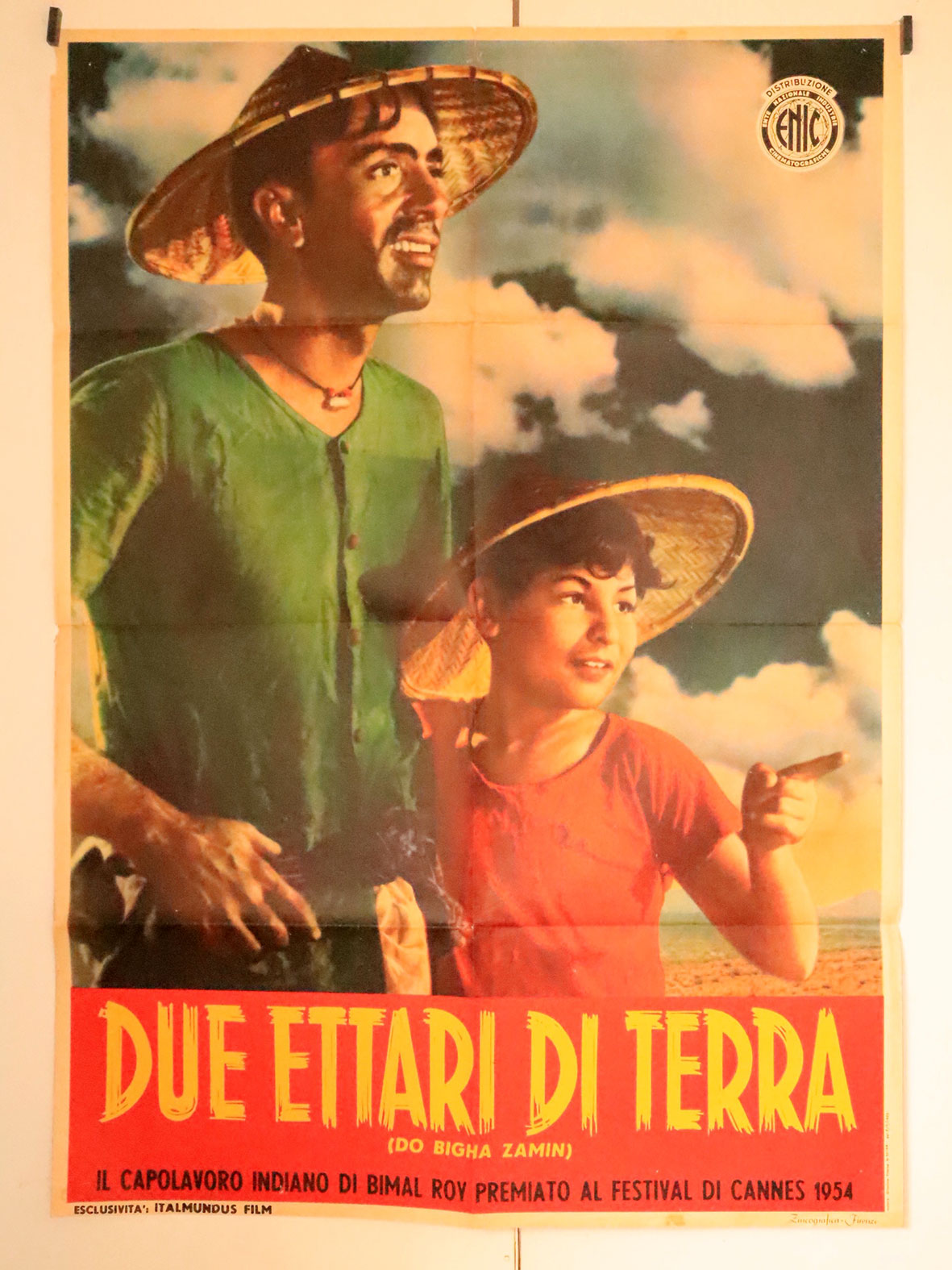 DUE ETTARI DI TERRA