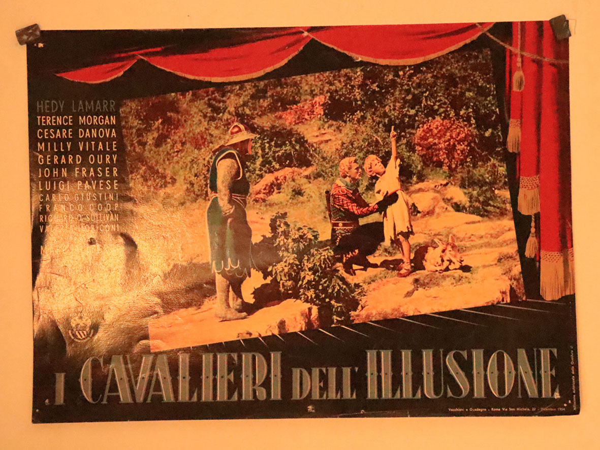 I CAVALIERI DELLILLUSIONE