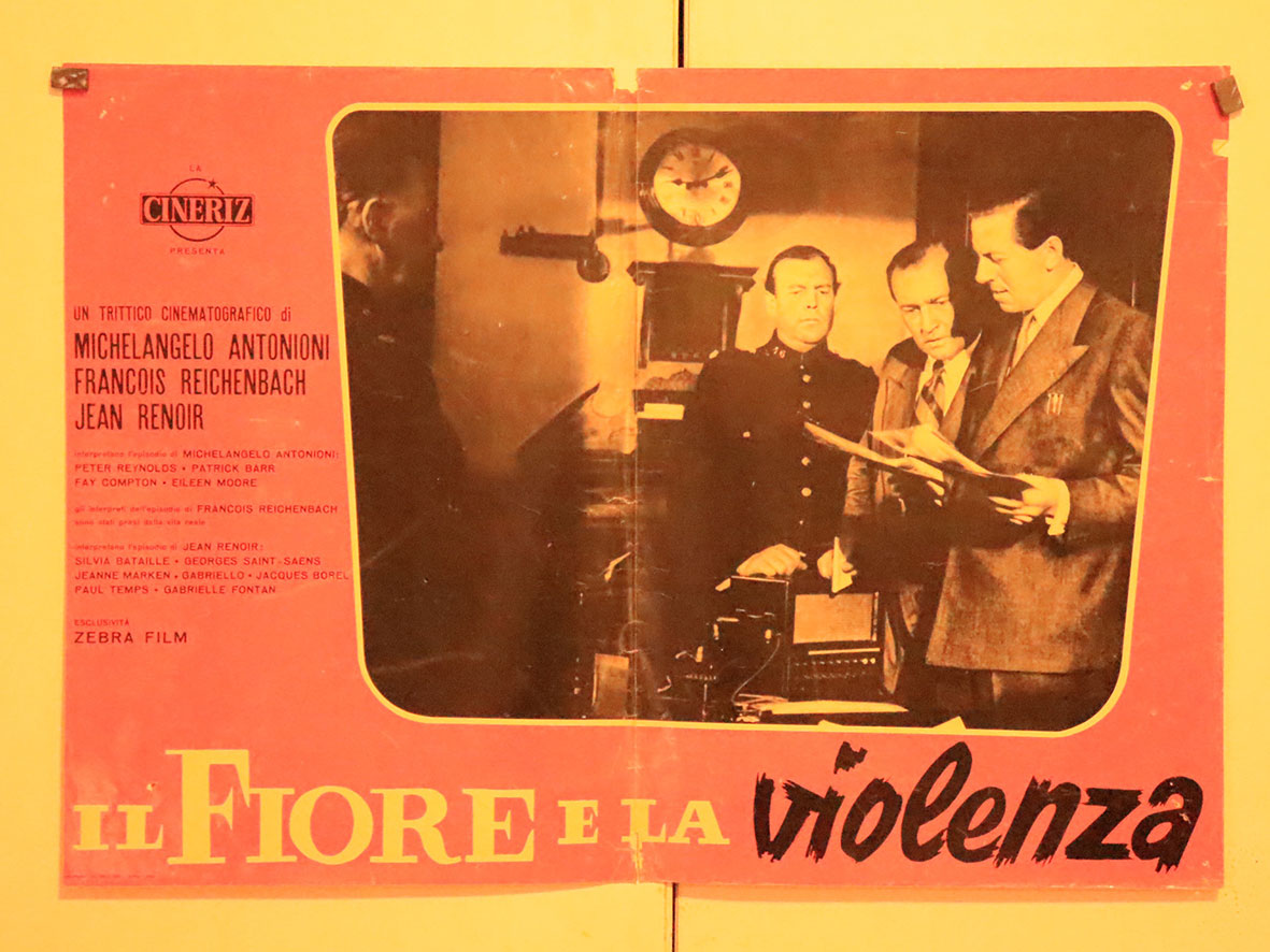 IL FIORE E LA VIOLENZA