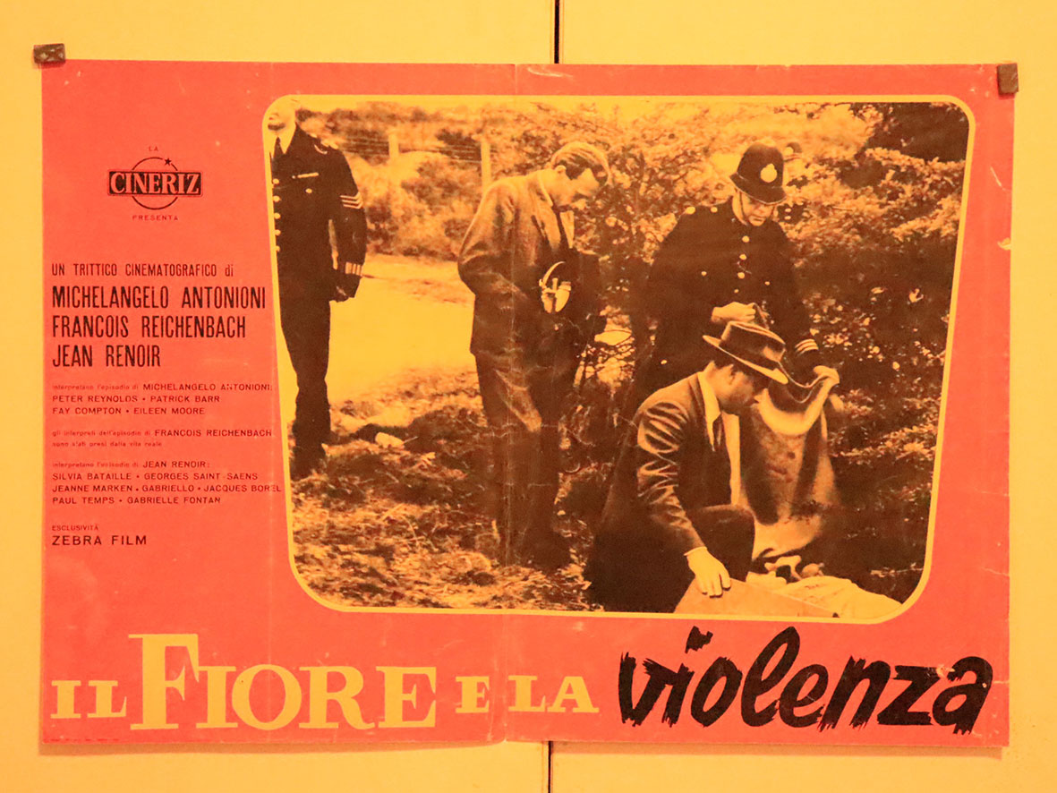 IL FIORE E LA VIOLENZA