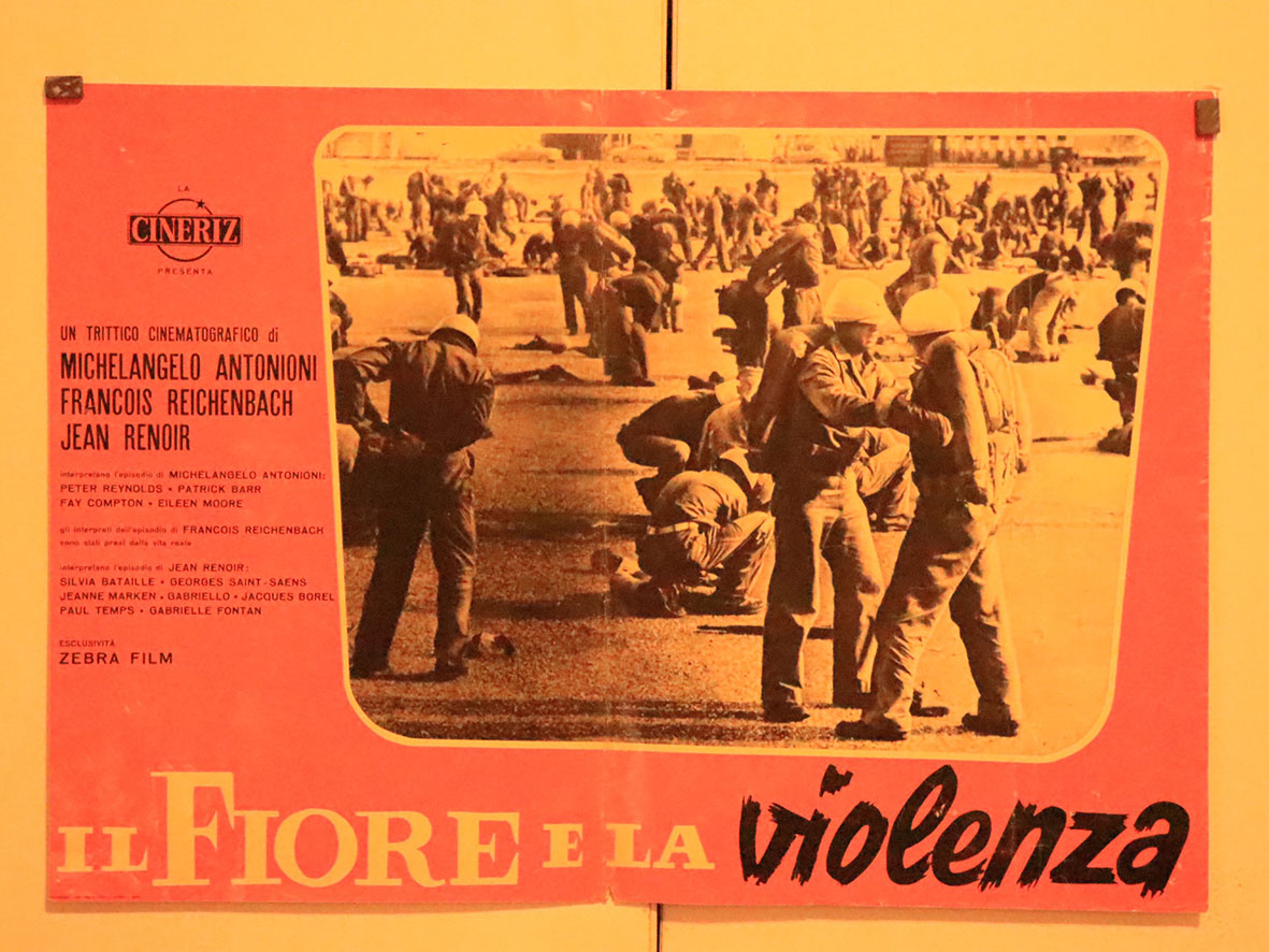 IL FIORE E LA VIOLENZA