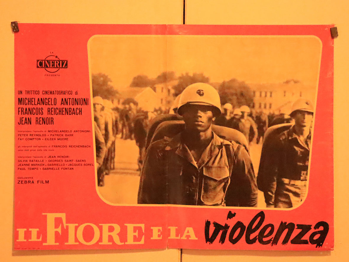 IL FIORE E LA VIOLENZA