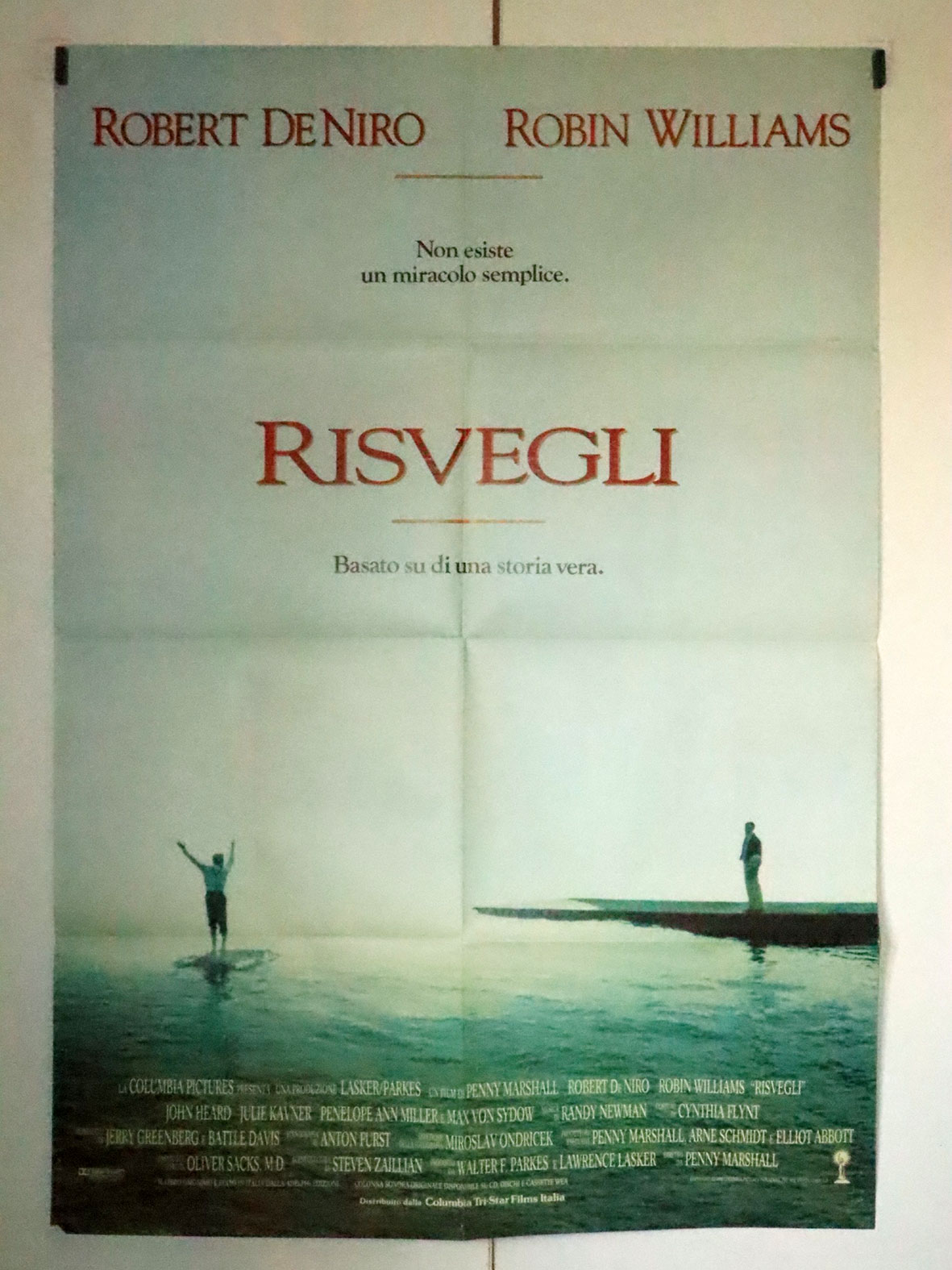 RISVEGLI