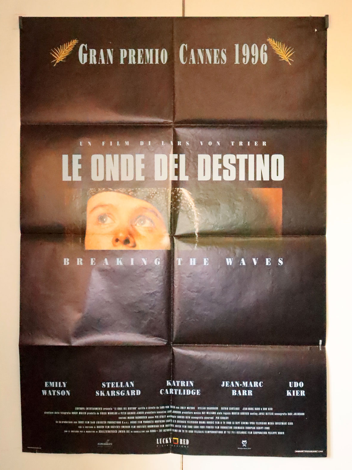 LE ONDE DEL DESTINO