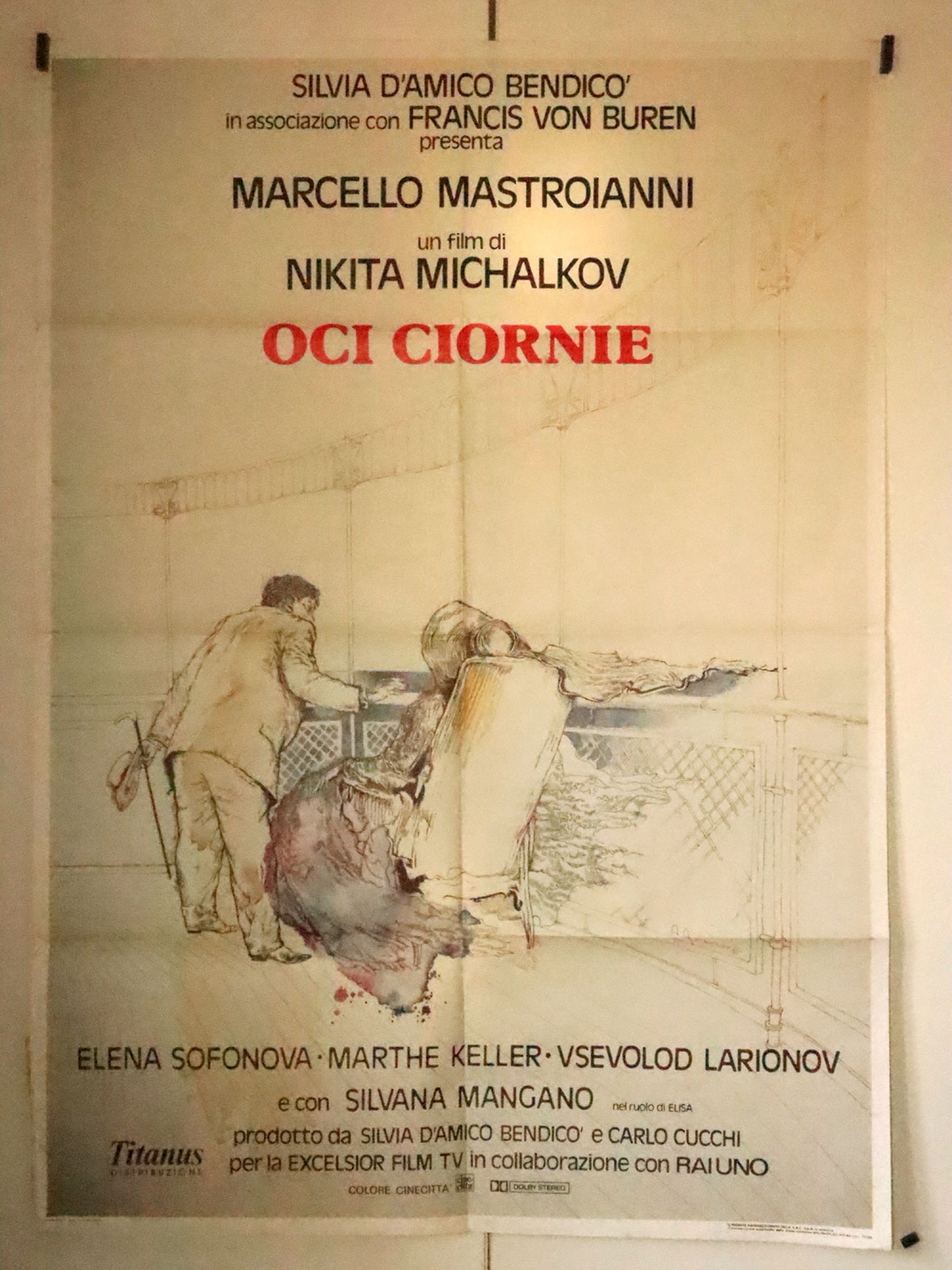 OCI CIORNIE