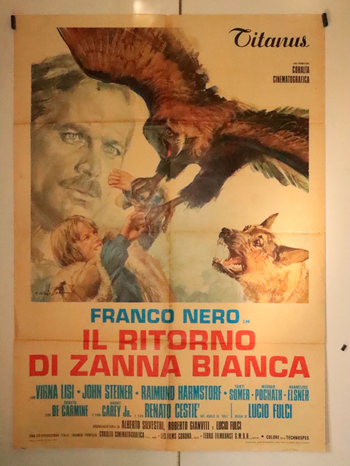 IL RITORNO DI ZANNA BIANCA