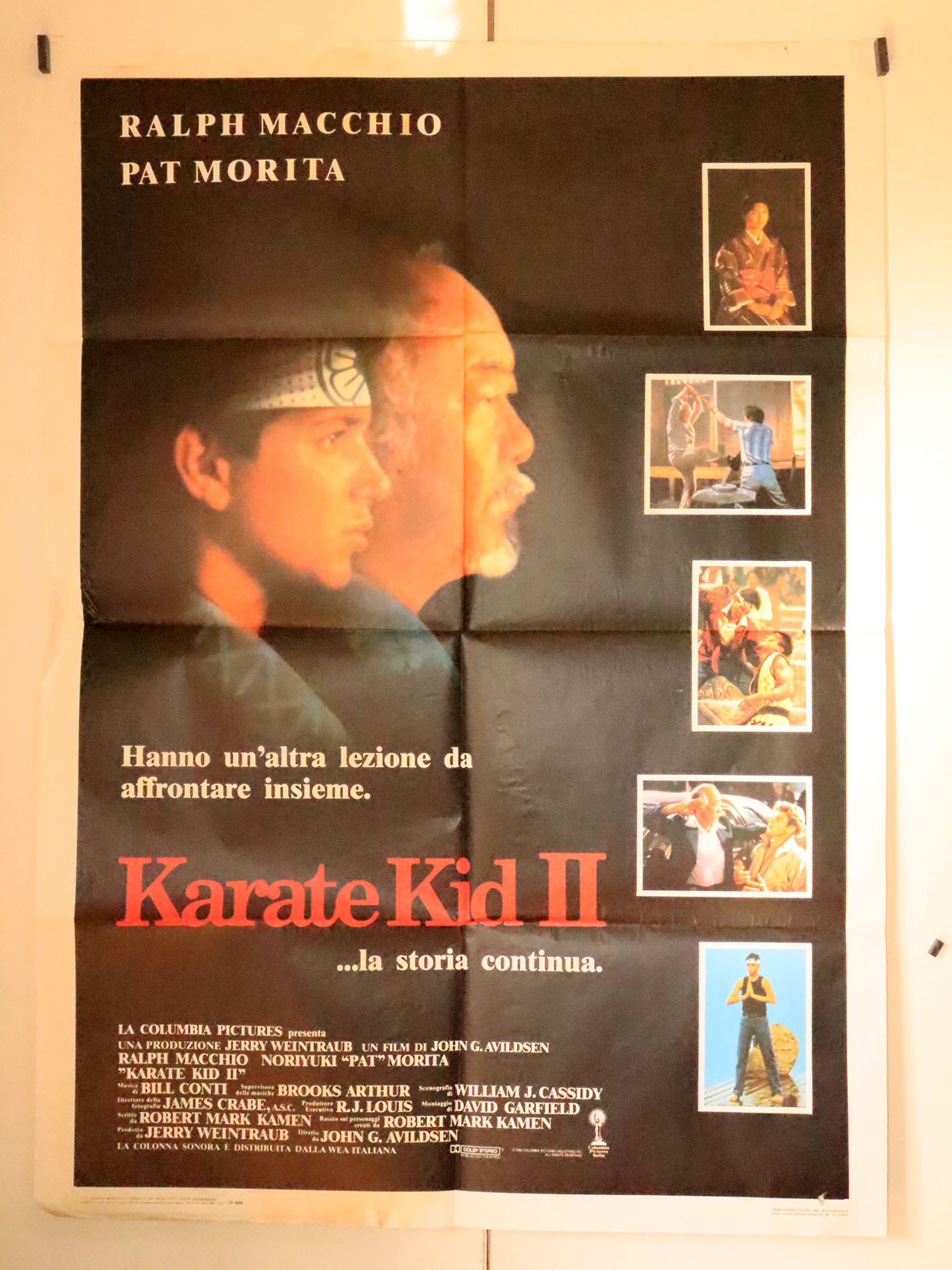 KARATE KIDD II