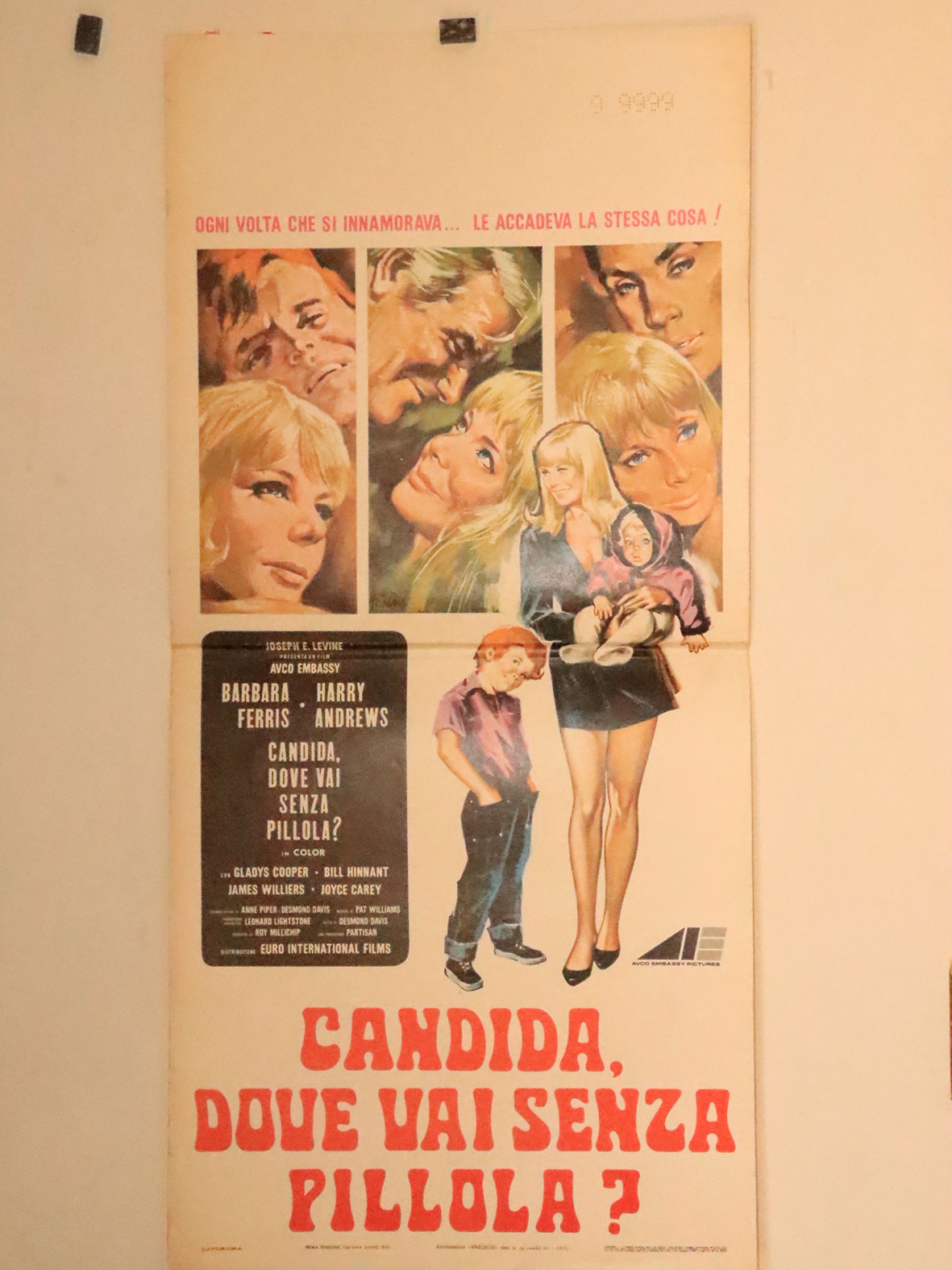 CANDIDA, DOVE VAI SENZA PILLOLA