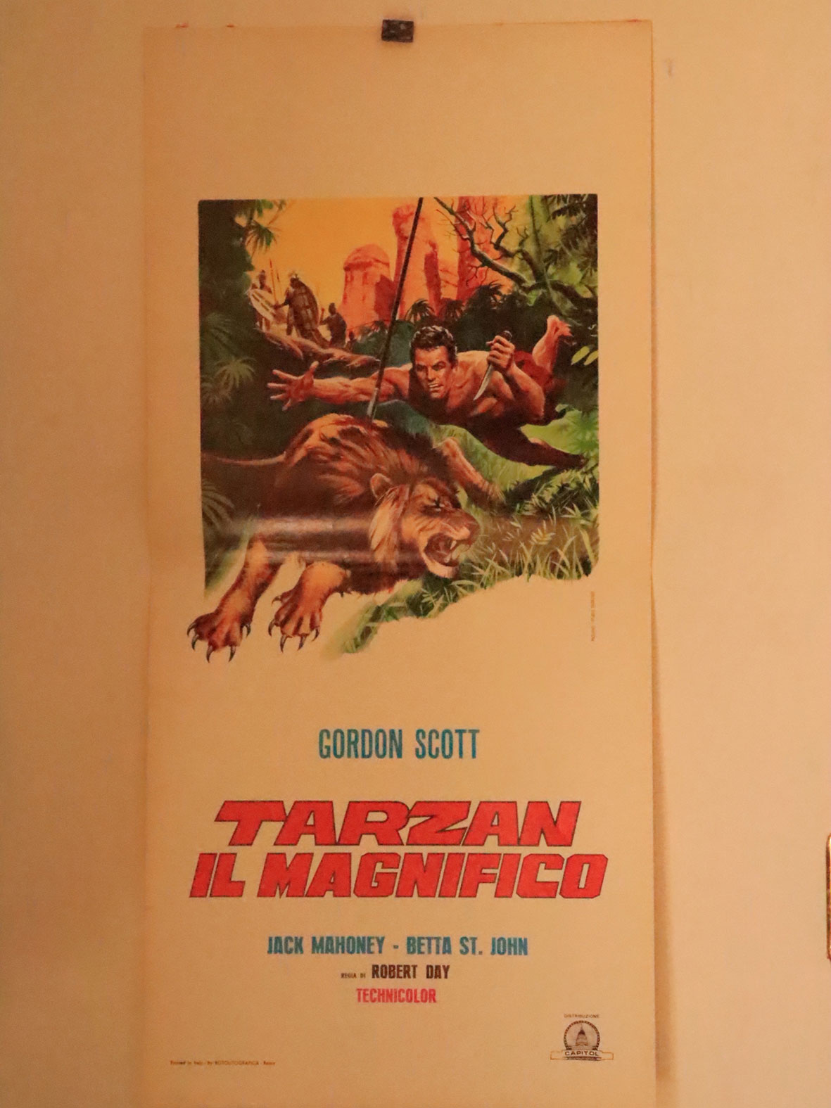 TARZAN IL MAGNIFICO