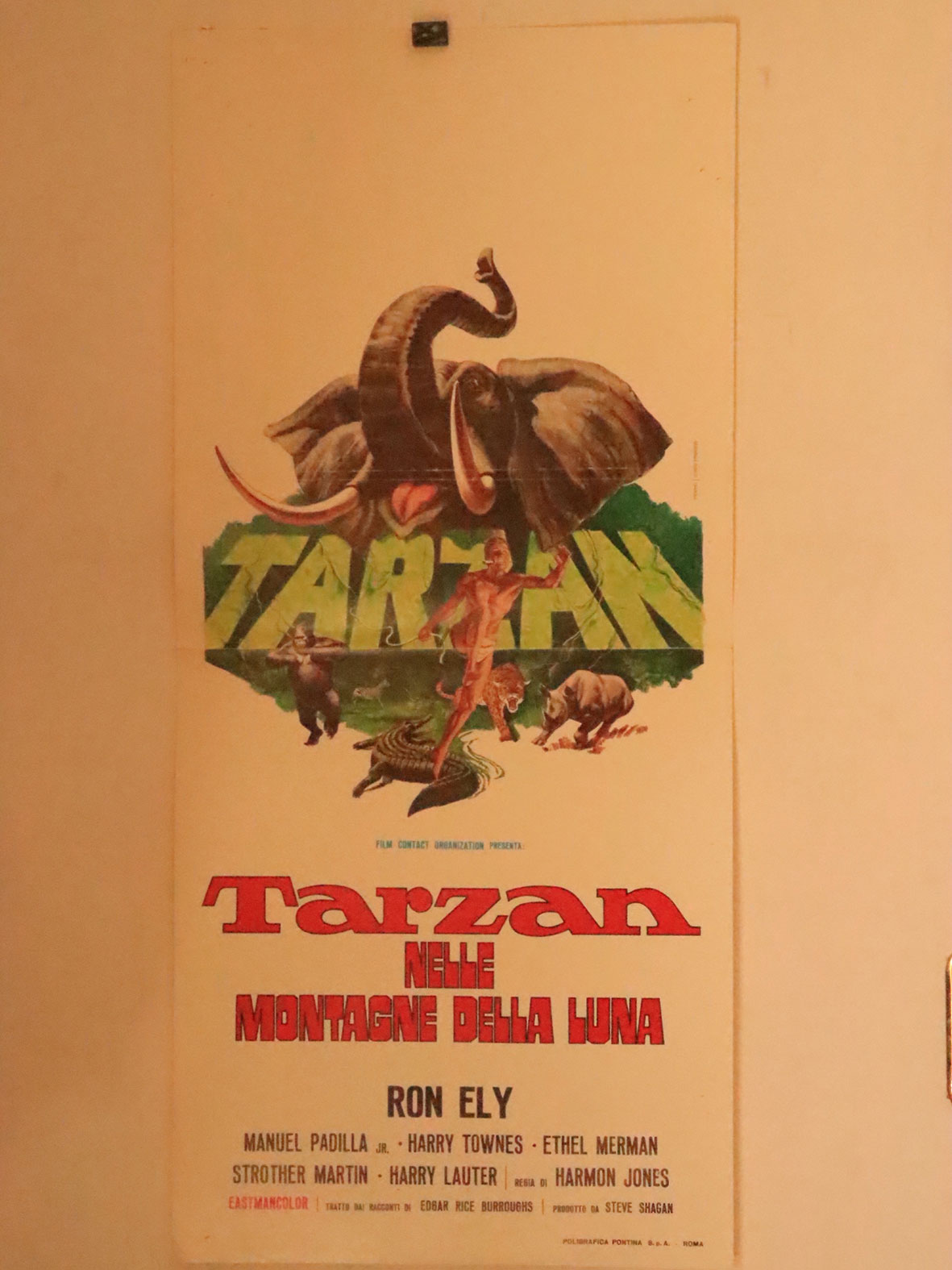 TARZAN NENLLE MONTAGNE DELLA LUNA