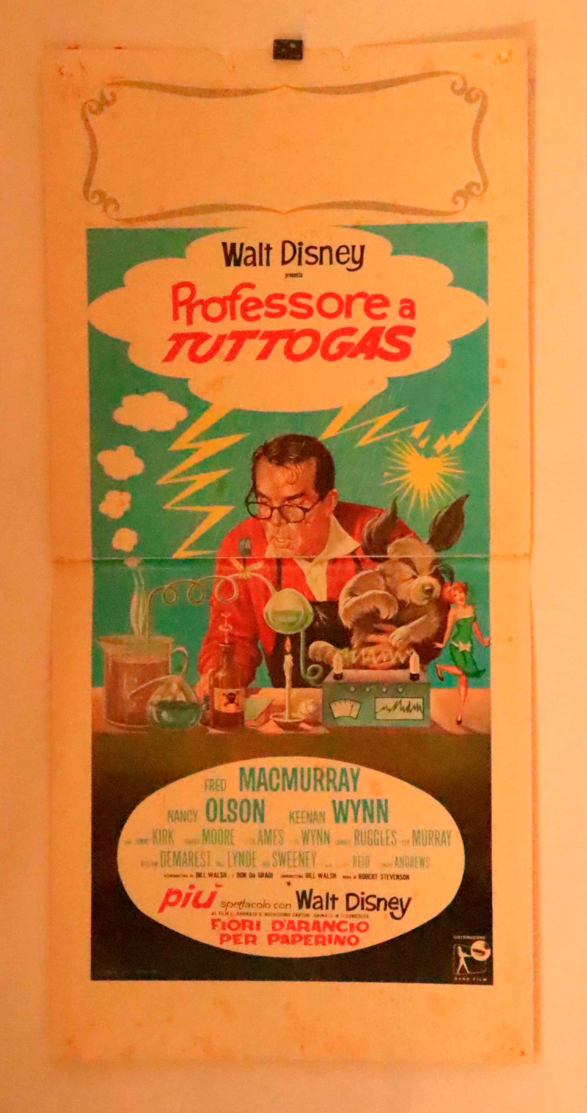 PROFESSORE A TUTTOGAS