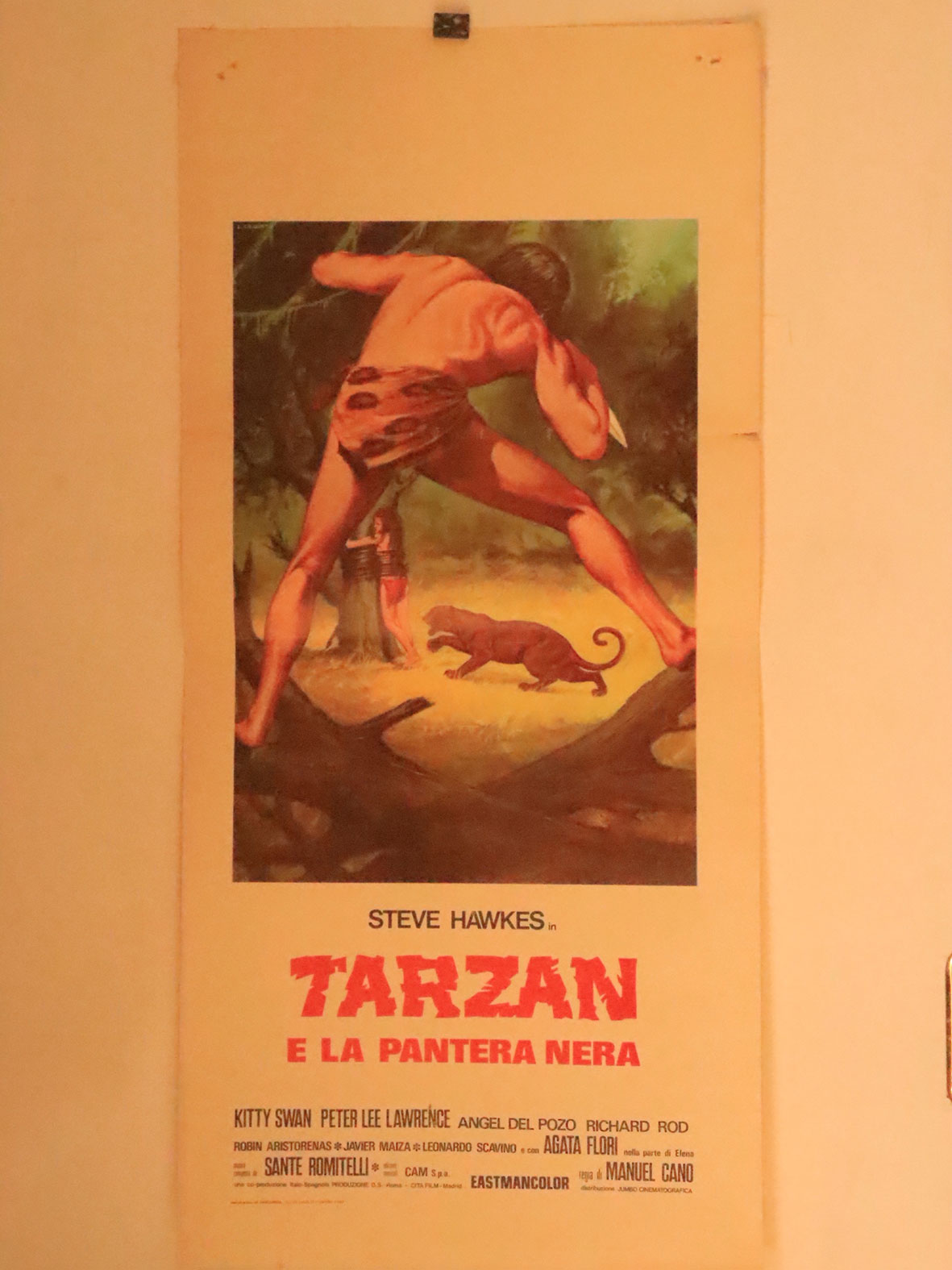 TARZAN E LA PANTERA NERA