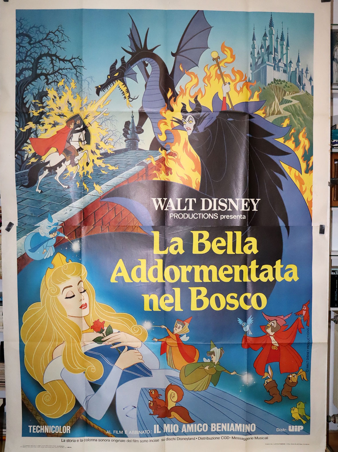 LA BELLA ADDORMENTATA NEL BOSCO