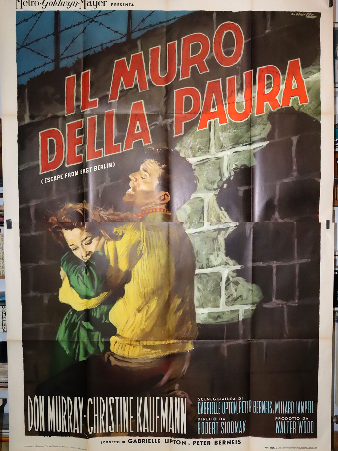 IL MURO DELLA PAURA