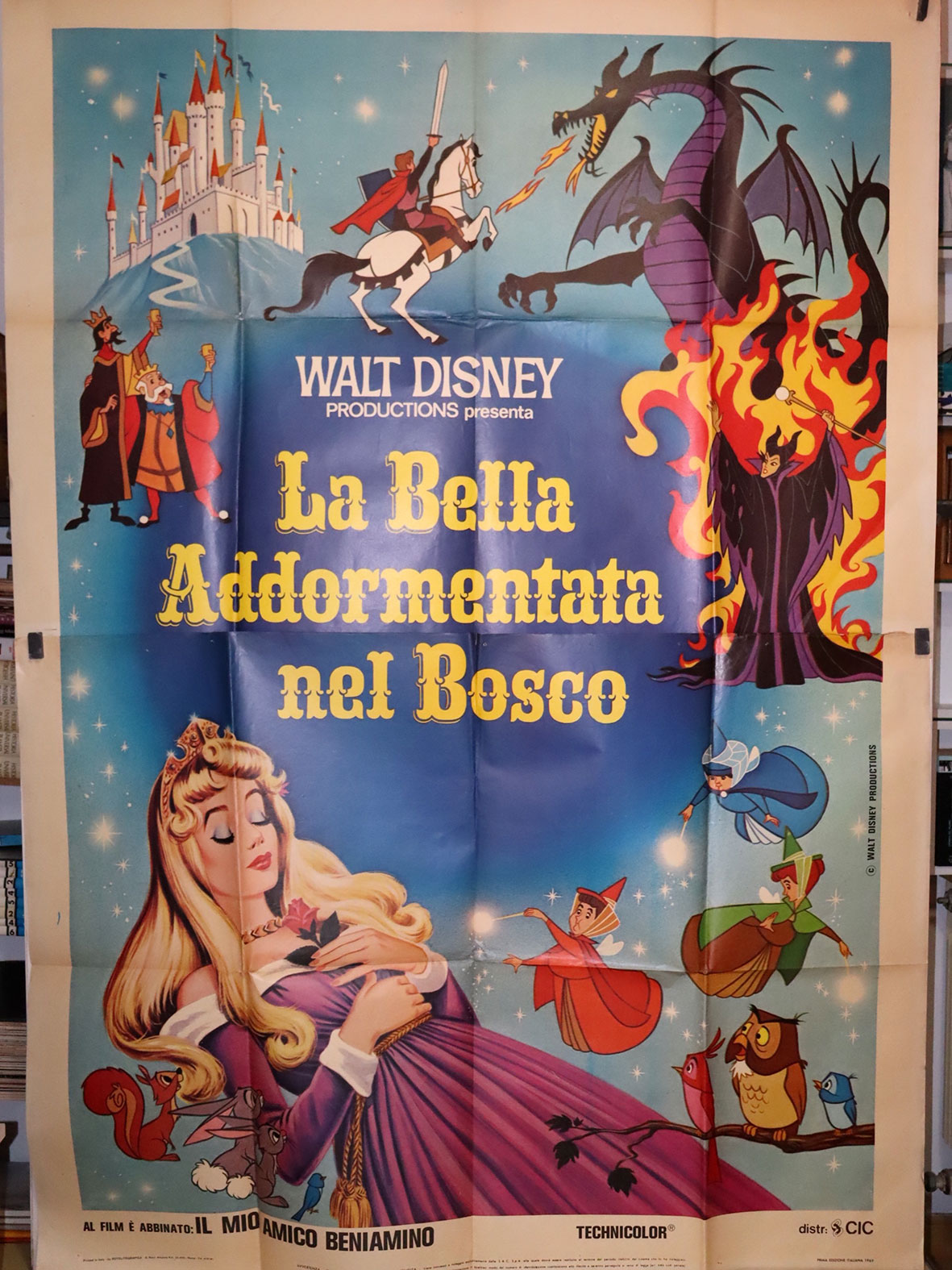 LA BELLA ADDORMENTATA NEL BOSCO