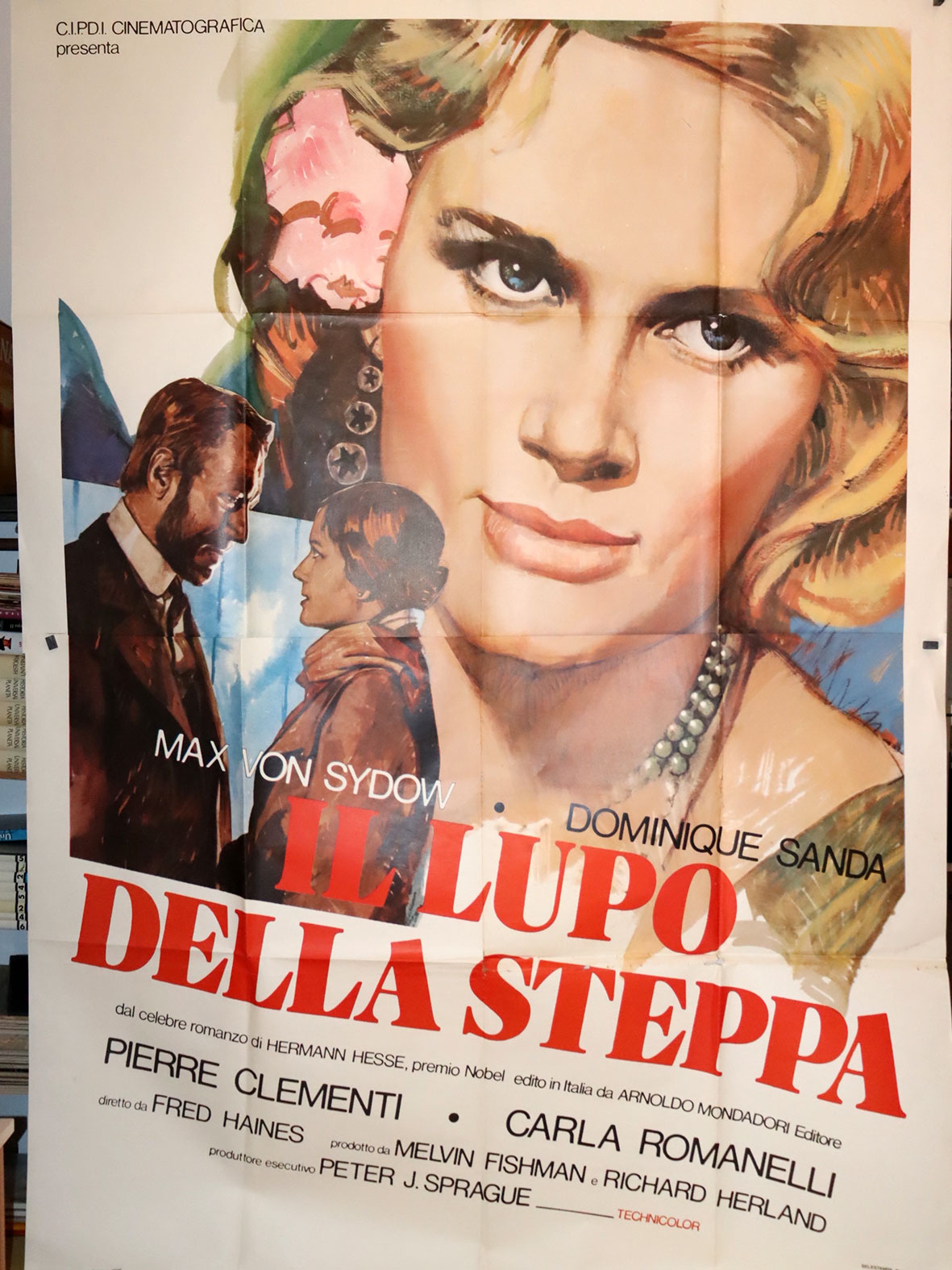 IL LUPO DELLA STEPPA