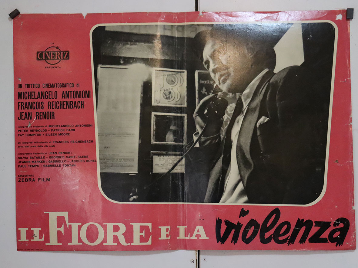 IL FIORE ELA VIOLENZA