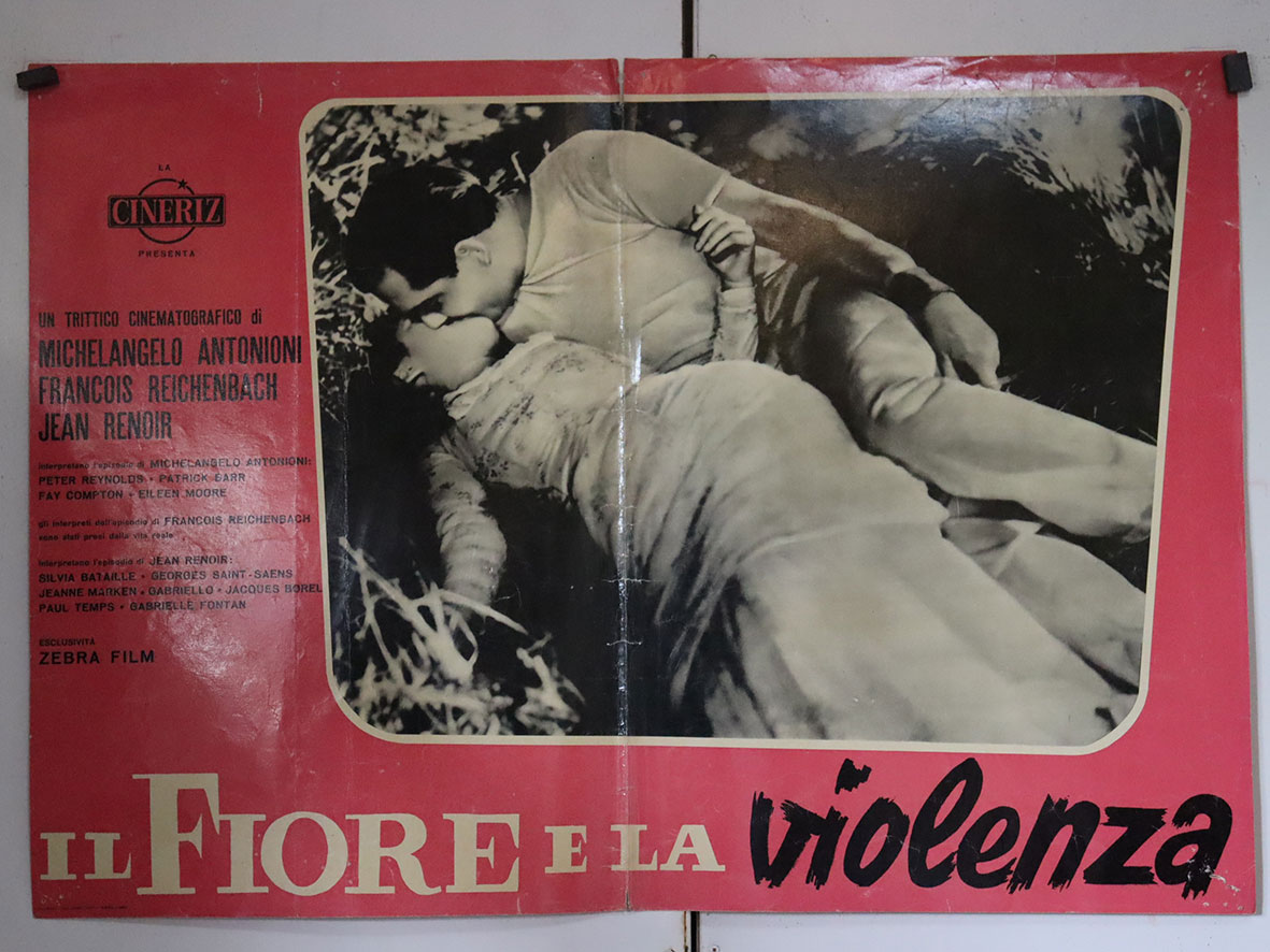 IL FIORE E LA VIOLENZA