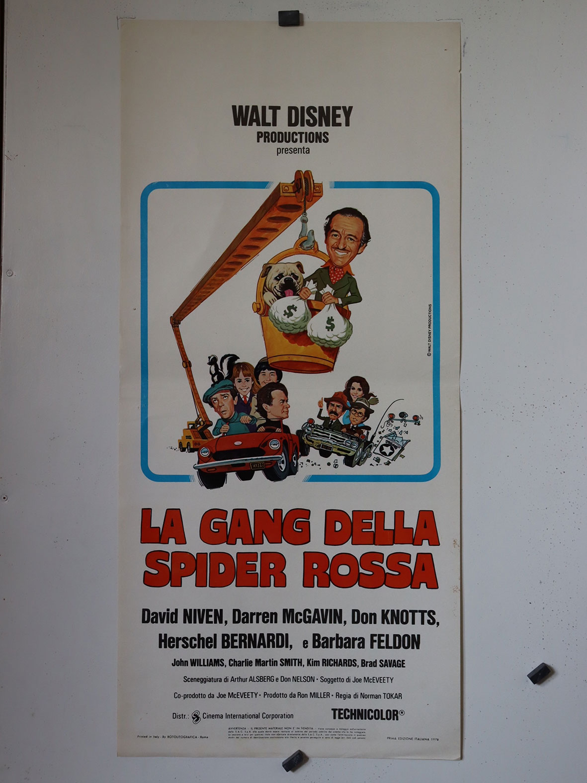 LA GANG DELLA SPIDER ROSSA