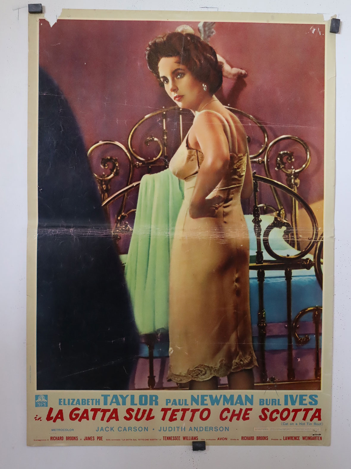 LA GATTA SUL TETTO CHE SCOTTA