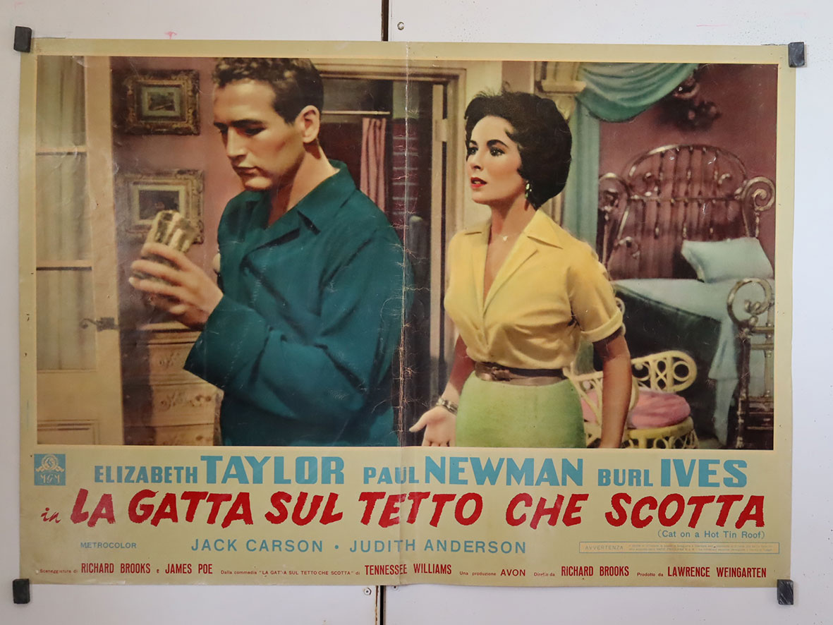 LA GATTA SUL TETTO CHE SCOTTA