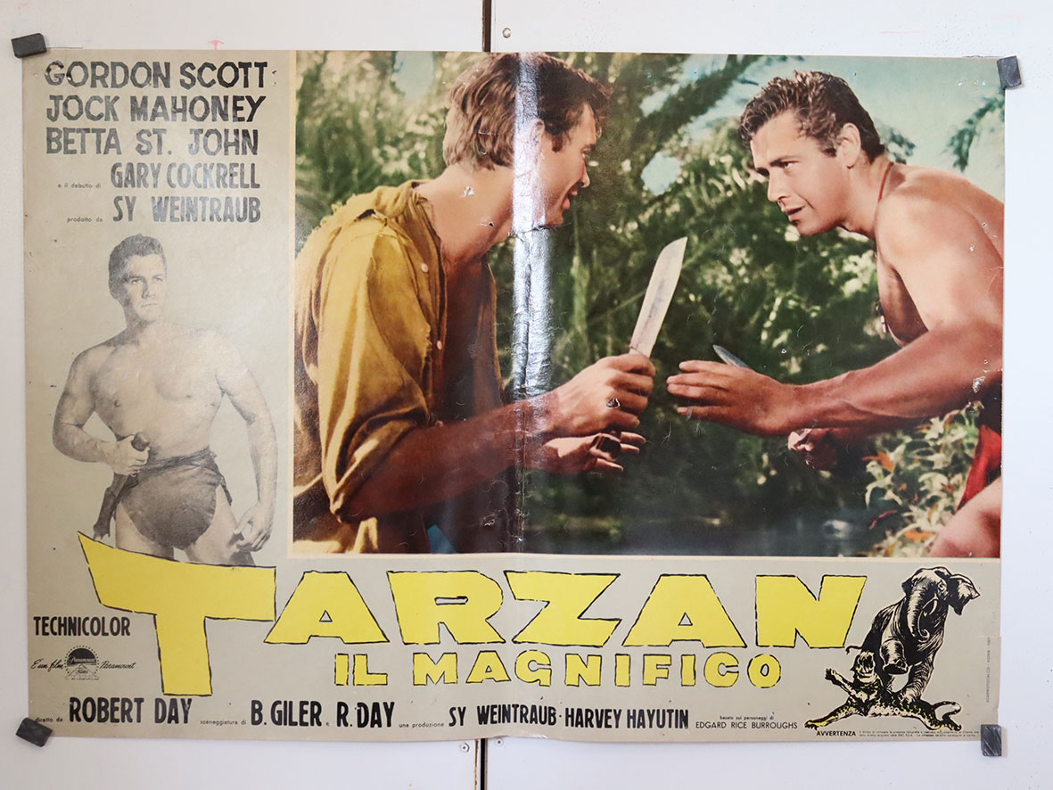 TARZAN IL MAGNIFICO