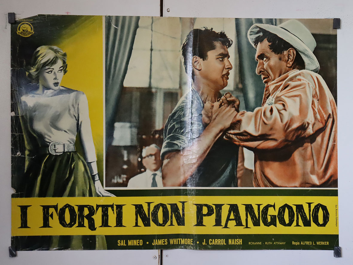 I FORTI NON PIANGONO