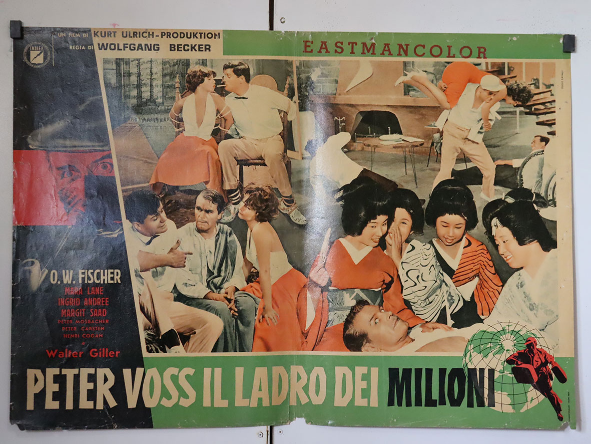 PETER VOSS IL LADRO DEI MILIONI