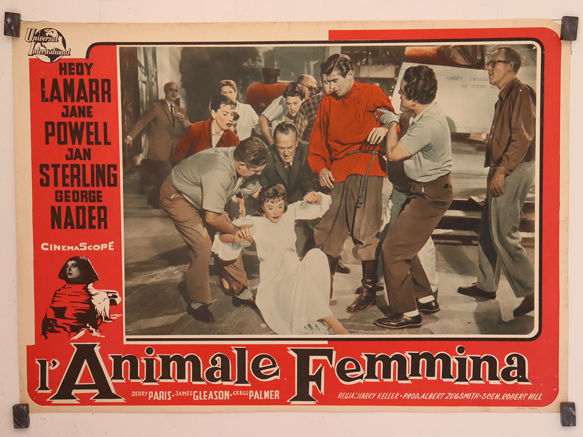 L�ANIMALE FEMMINA