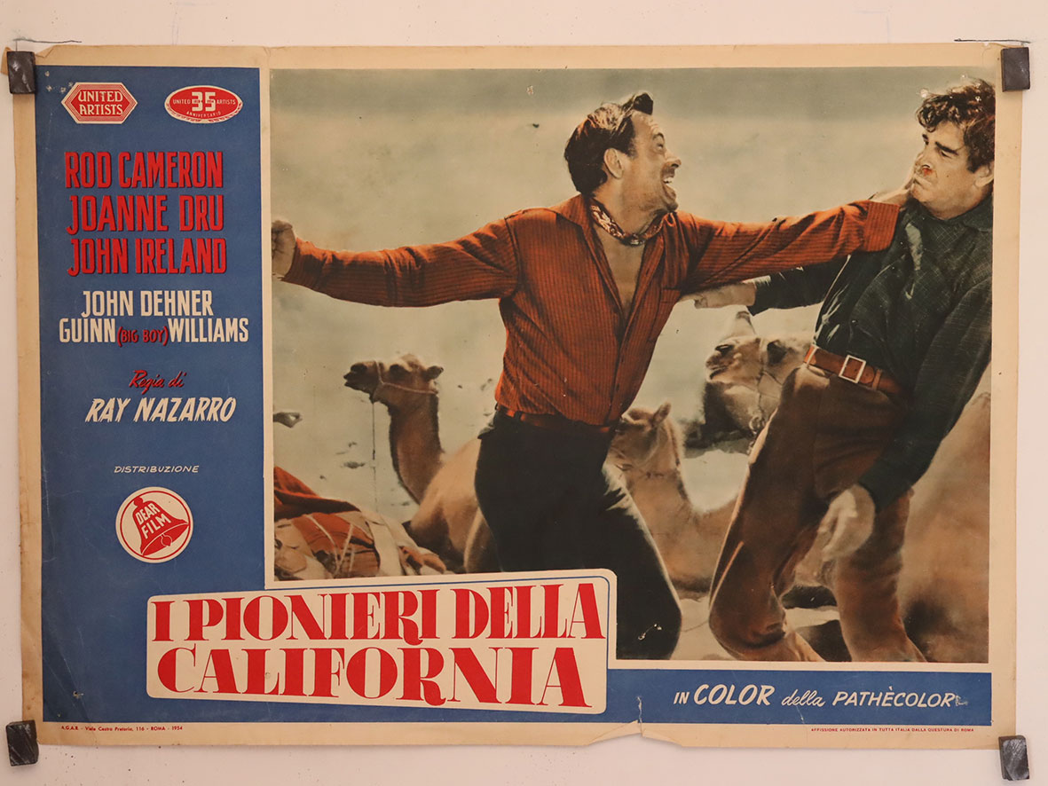 I PIONIERI DELLA CALIFORNIA