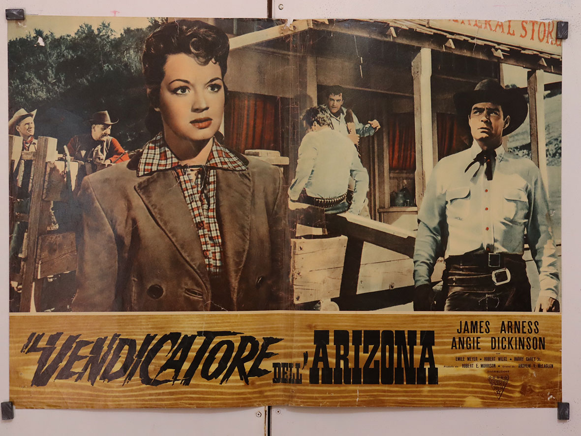 IL VENDICATORE DELLARIZONA