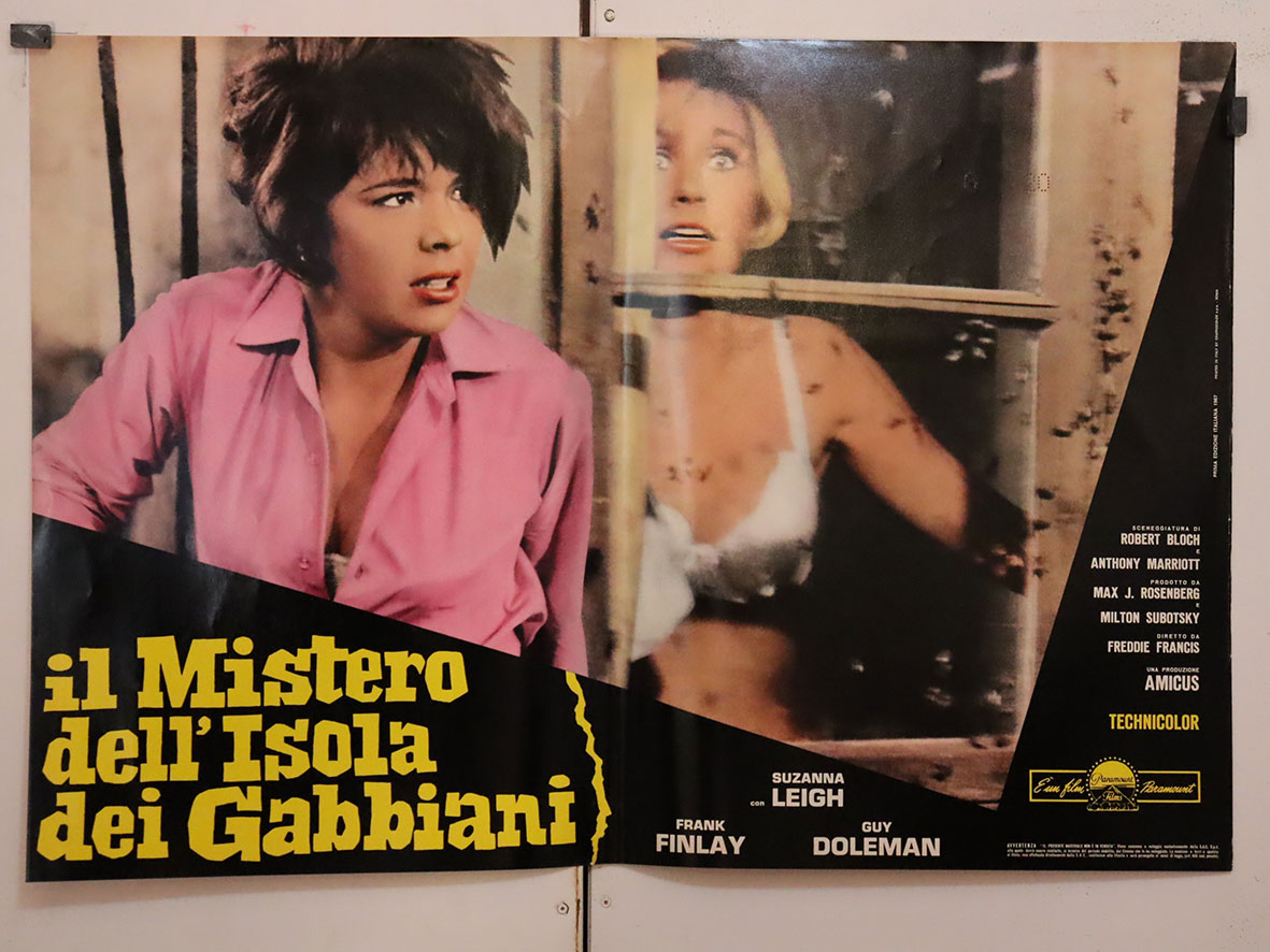 IL MISTERO DELL�ISOLA DEI GABBIANI