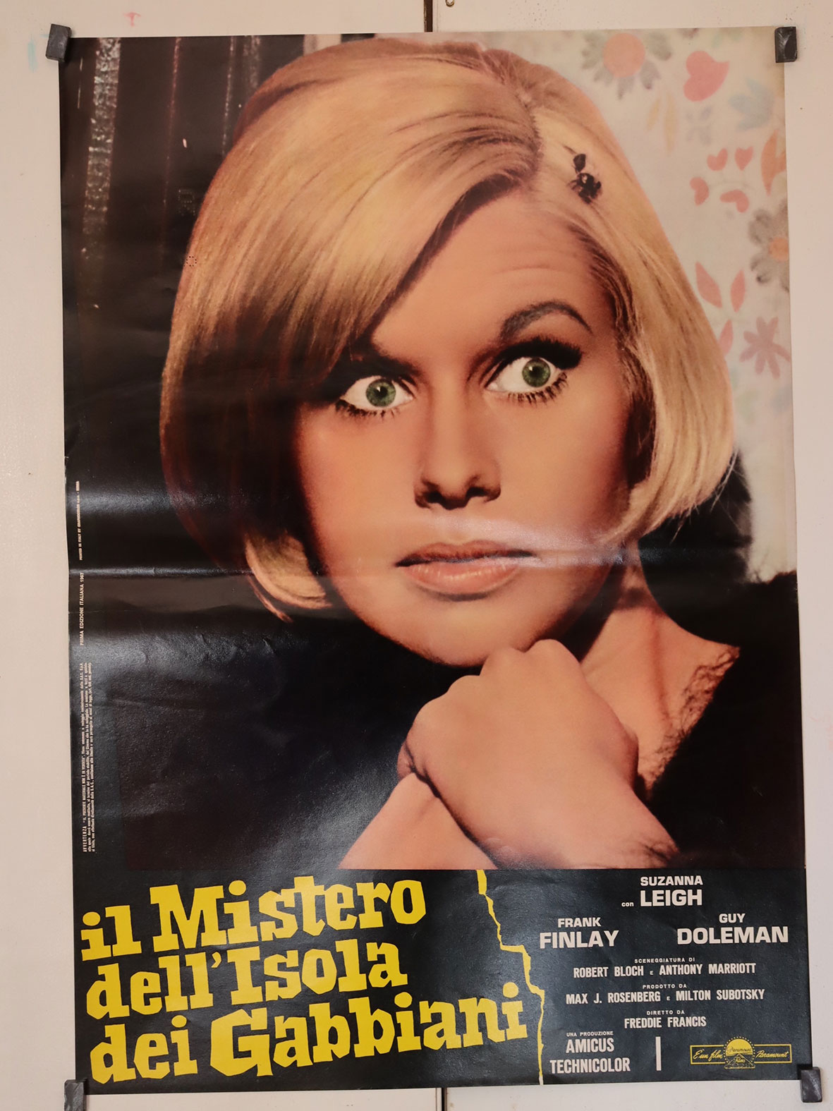 IL MISTERO DELL�ISOLA DEI GABBIANI