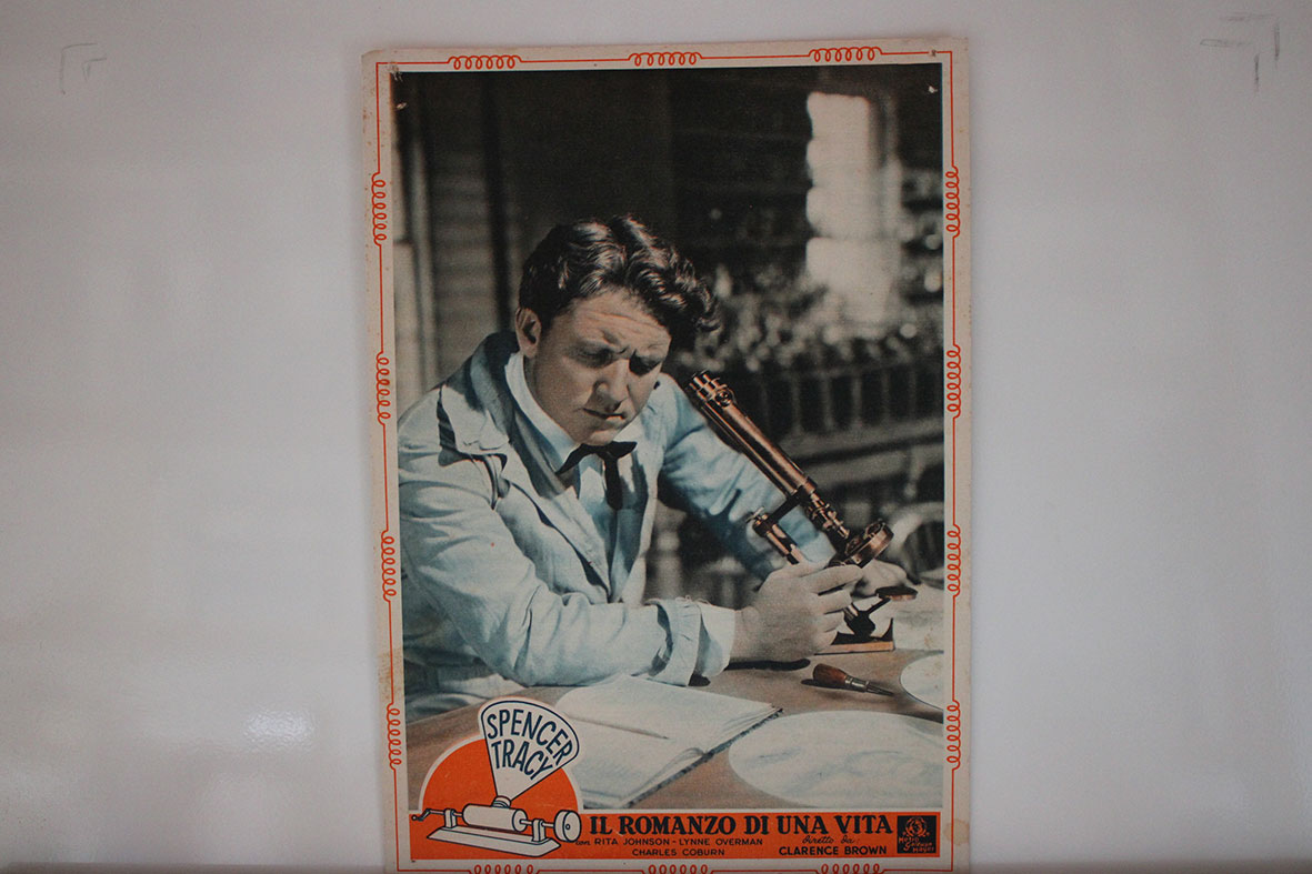 IL ROMANZO DI UNA VITA