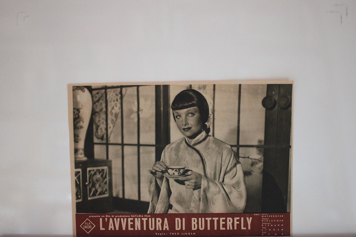 LAVVENTURA DI BUTTERFLY