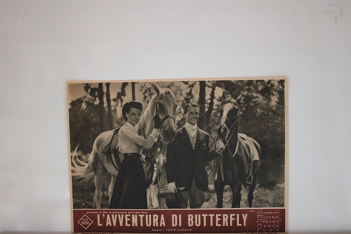 L�AVVENTURA DI BUTTERFLY