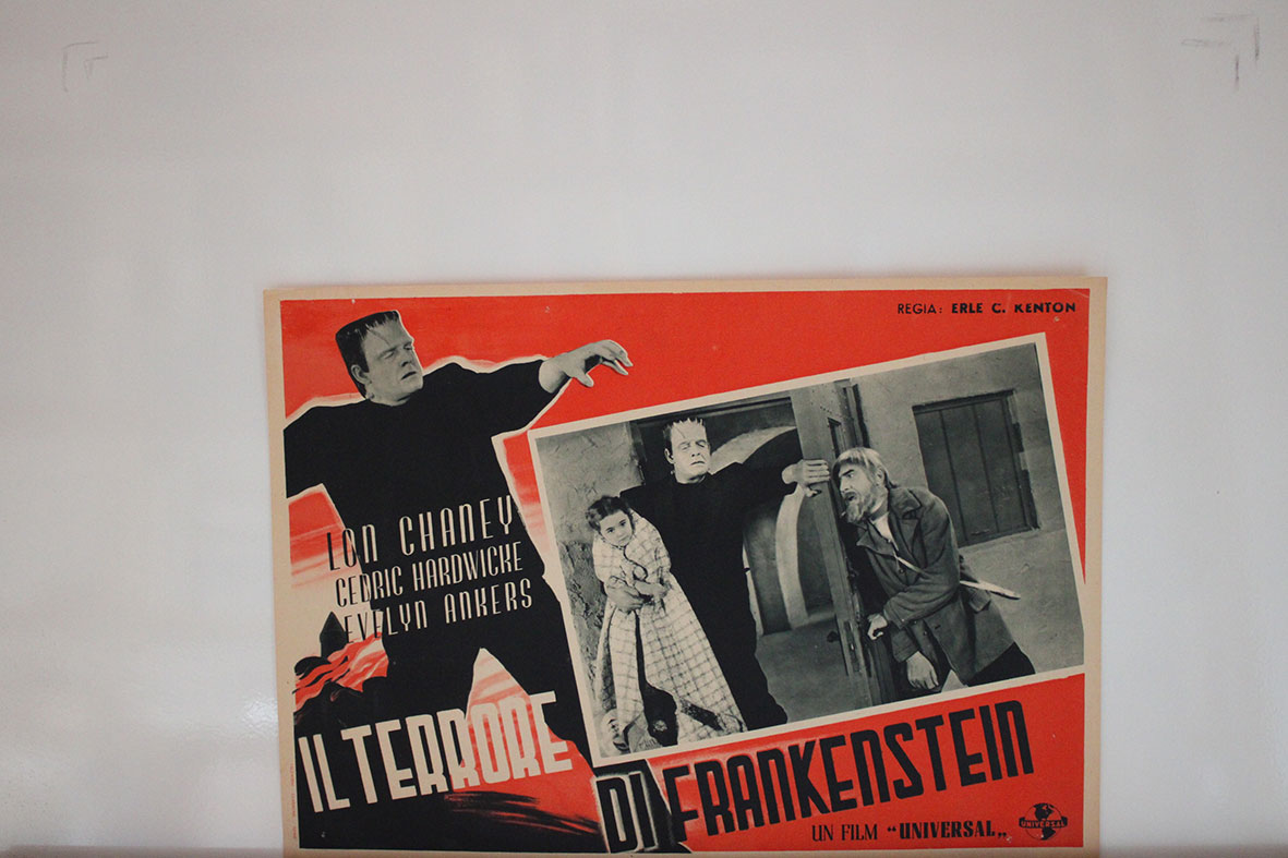 IL TERRORE DI FRANKENSTEIN