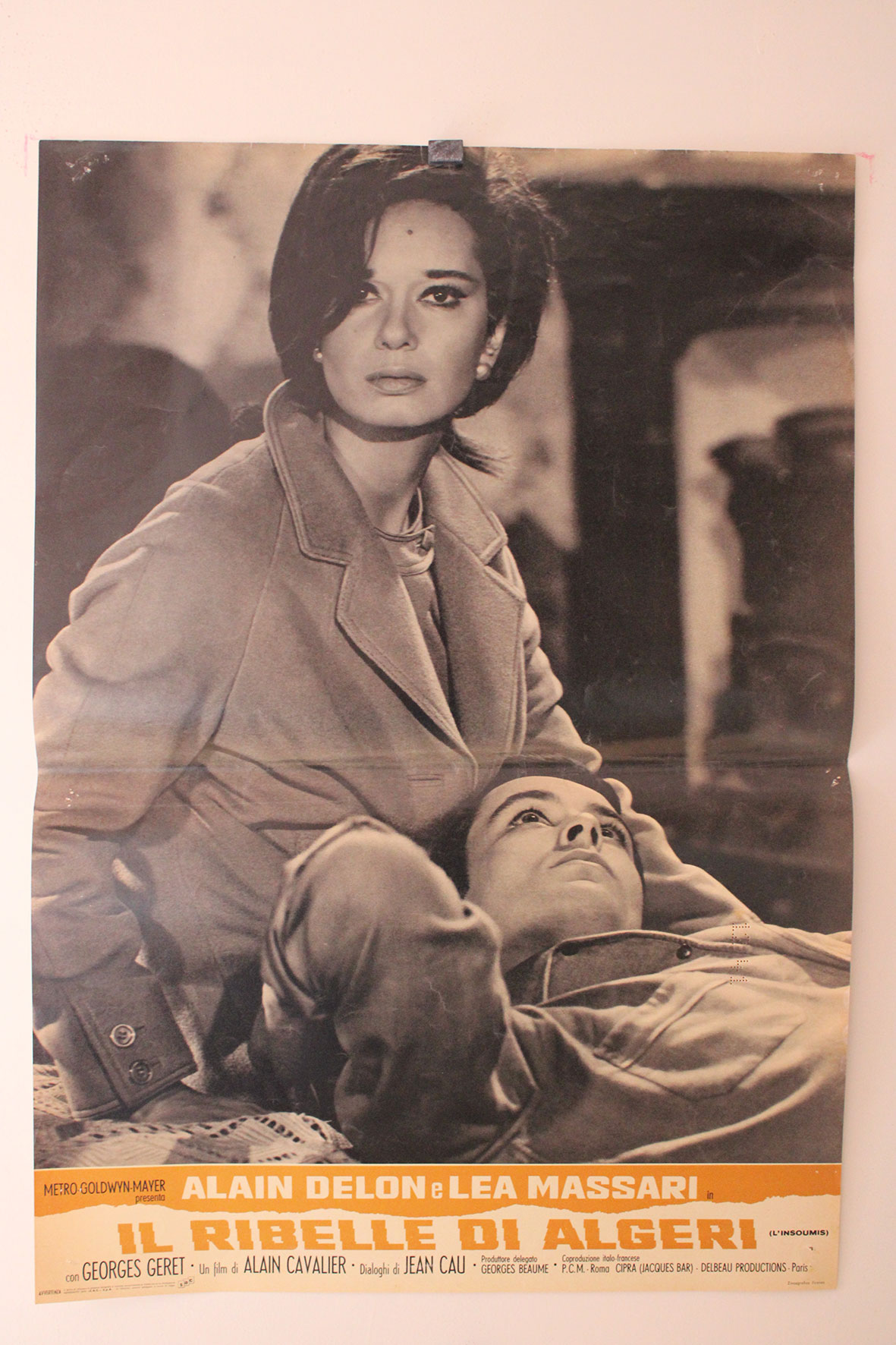 IL RIBELLE DI ALGERI