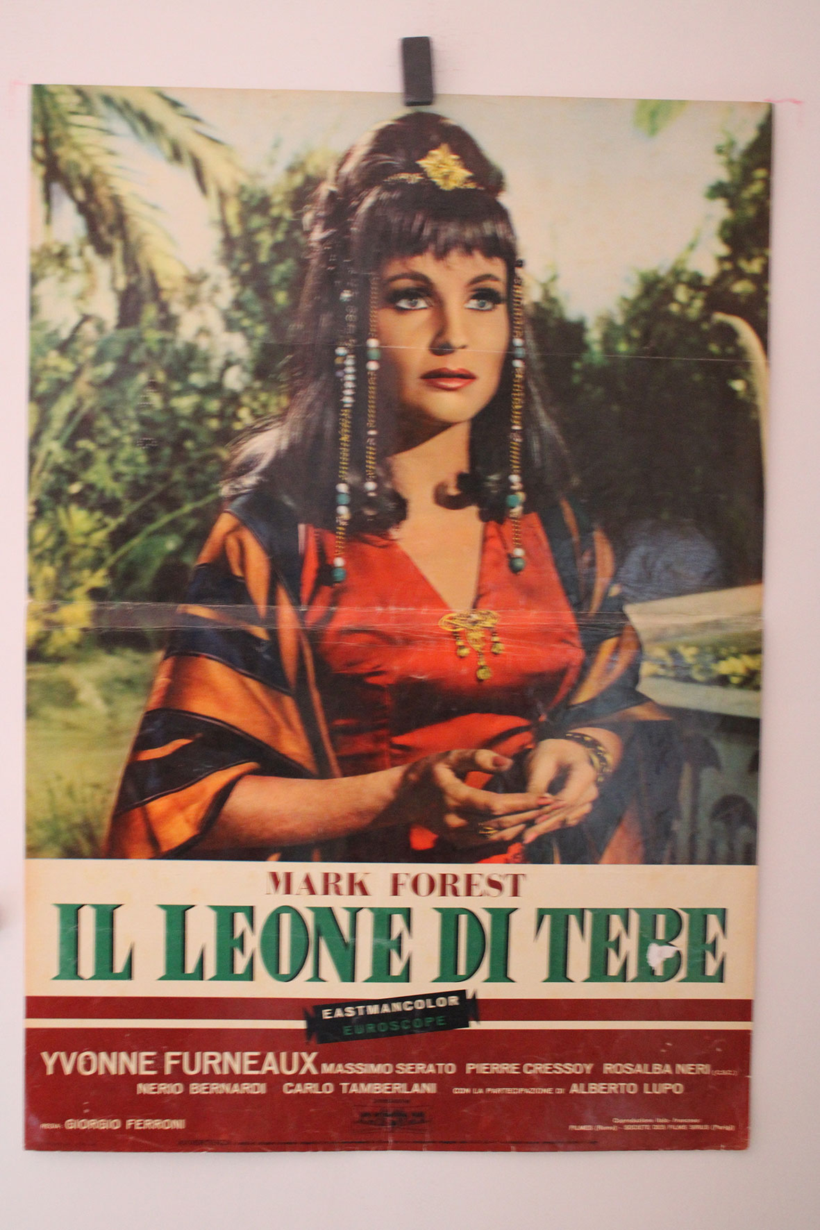 IL LEONE DI TEBE