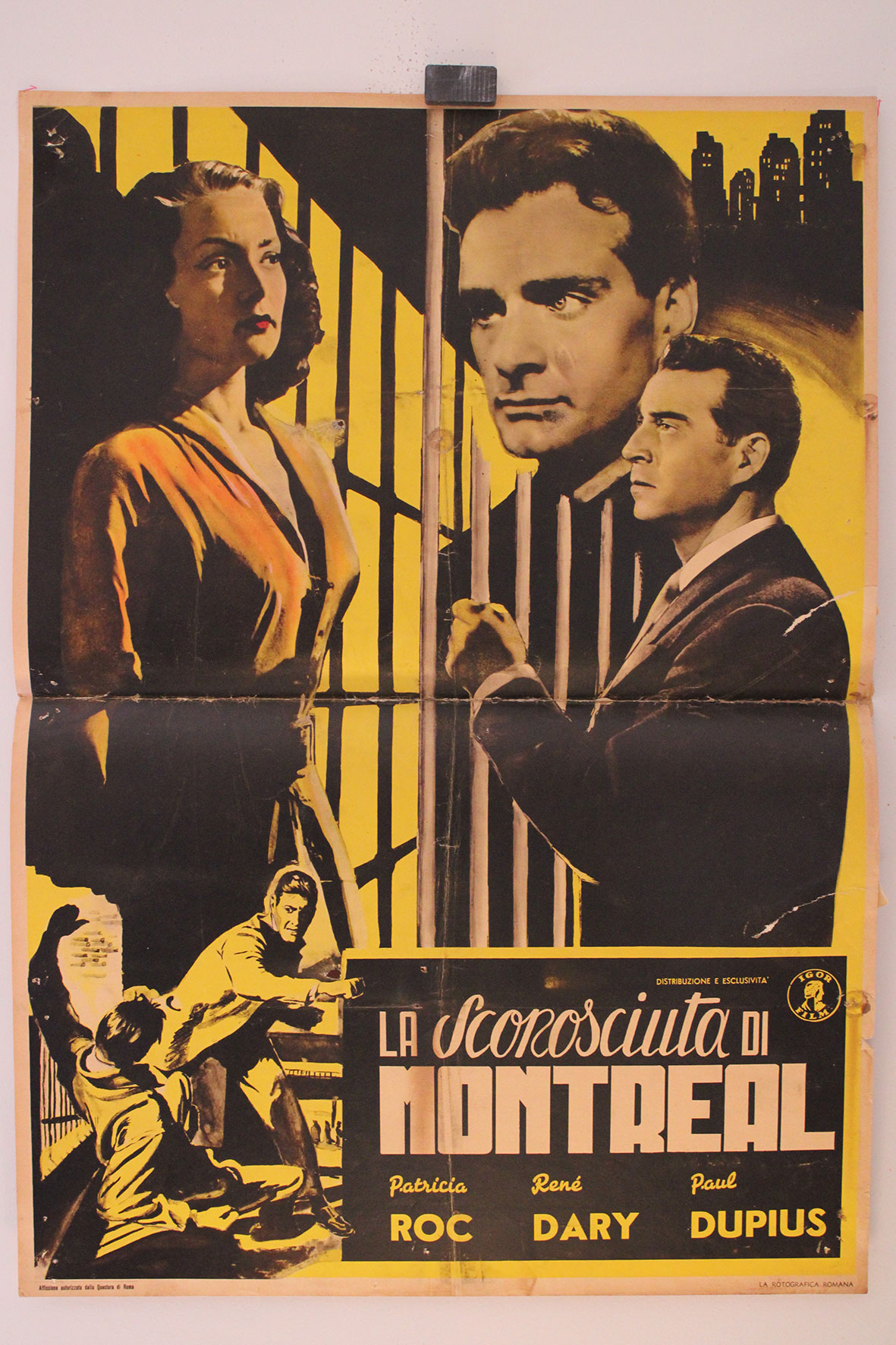 LA SCONOSCIUTA DI MONTREAL