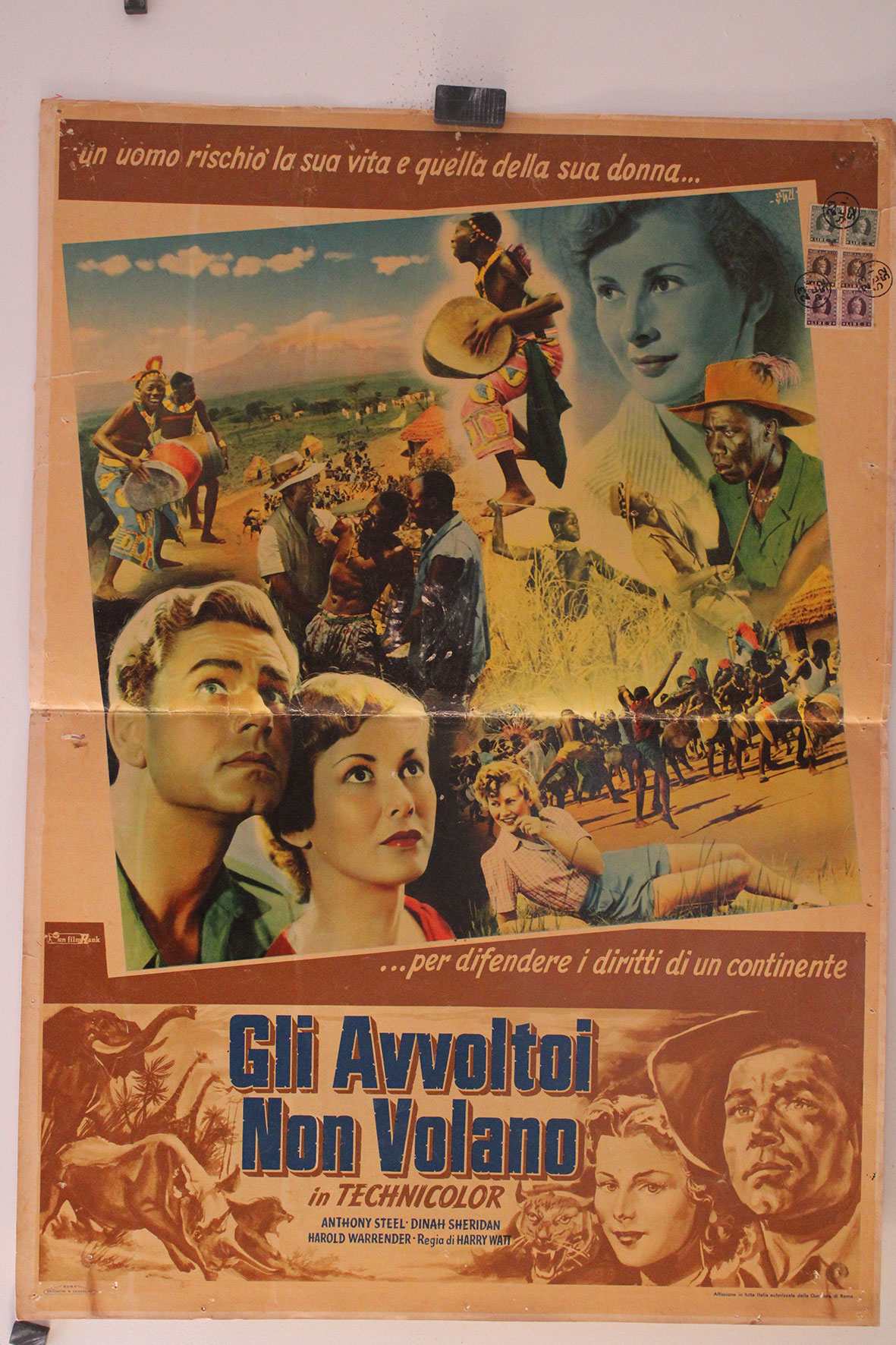 GLI AVVOLTOI NON VOLANO