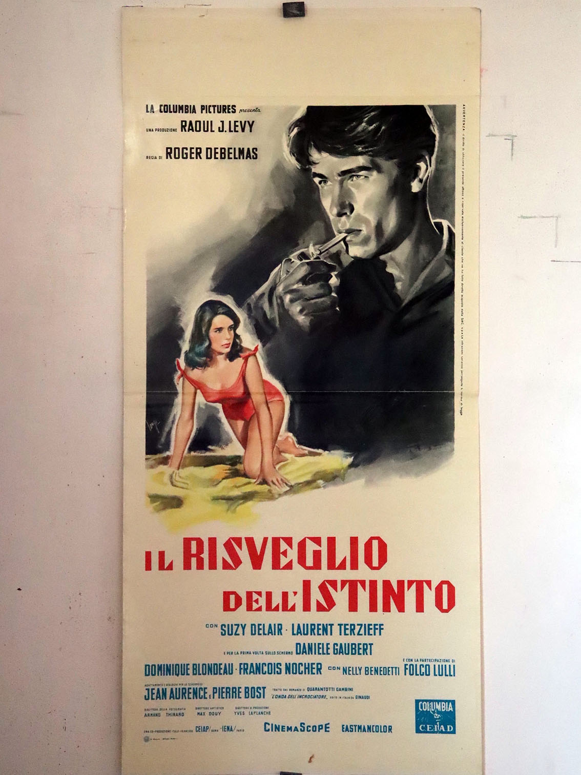 IL RISVEGLIO DELL�ISTINTO