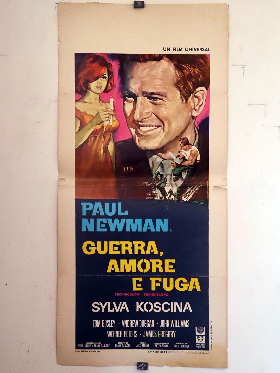 GUERRA, AMORE E FUGA