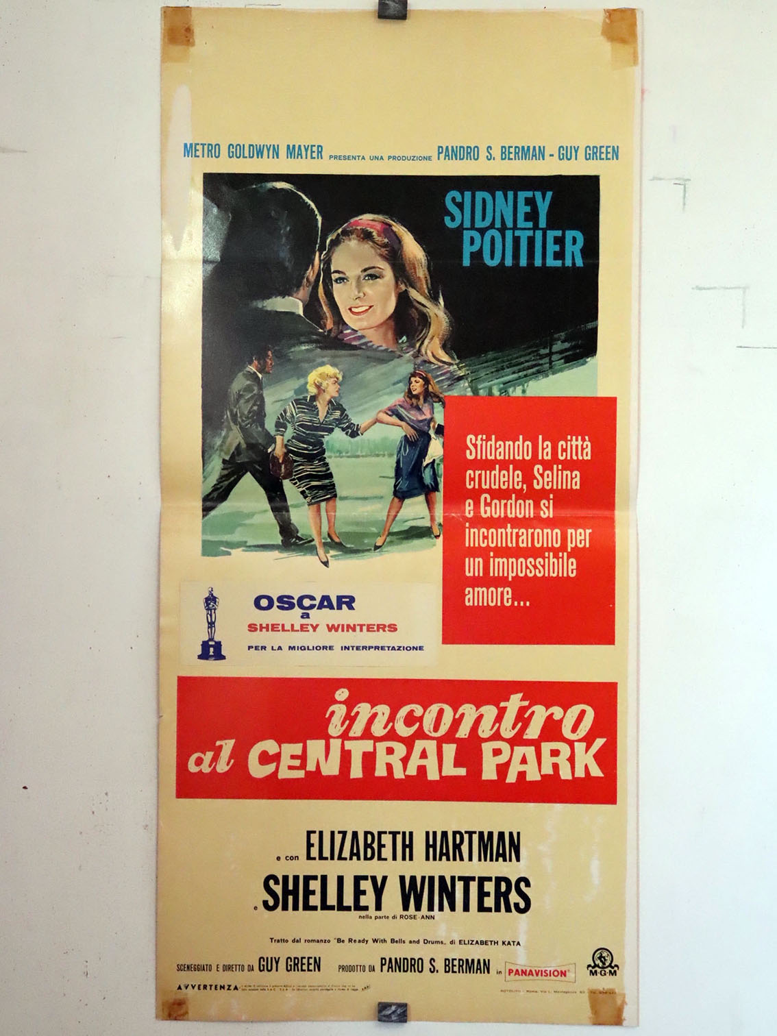 INCONTRO AL CENTRAL PARK