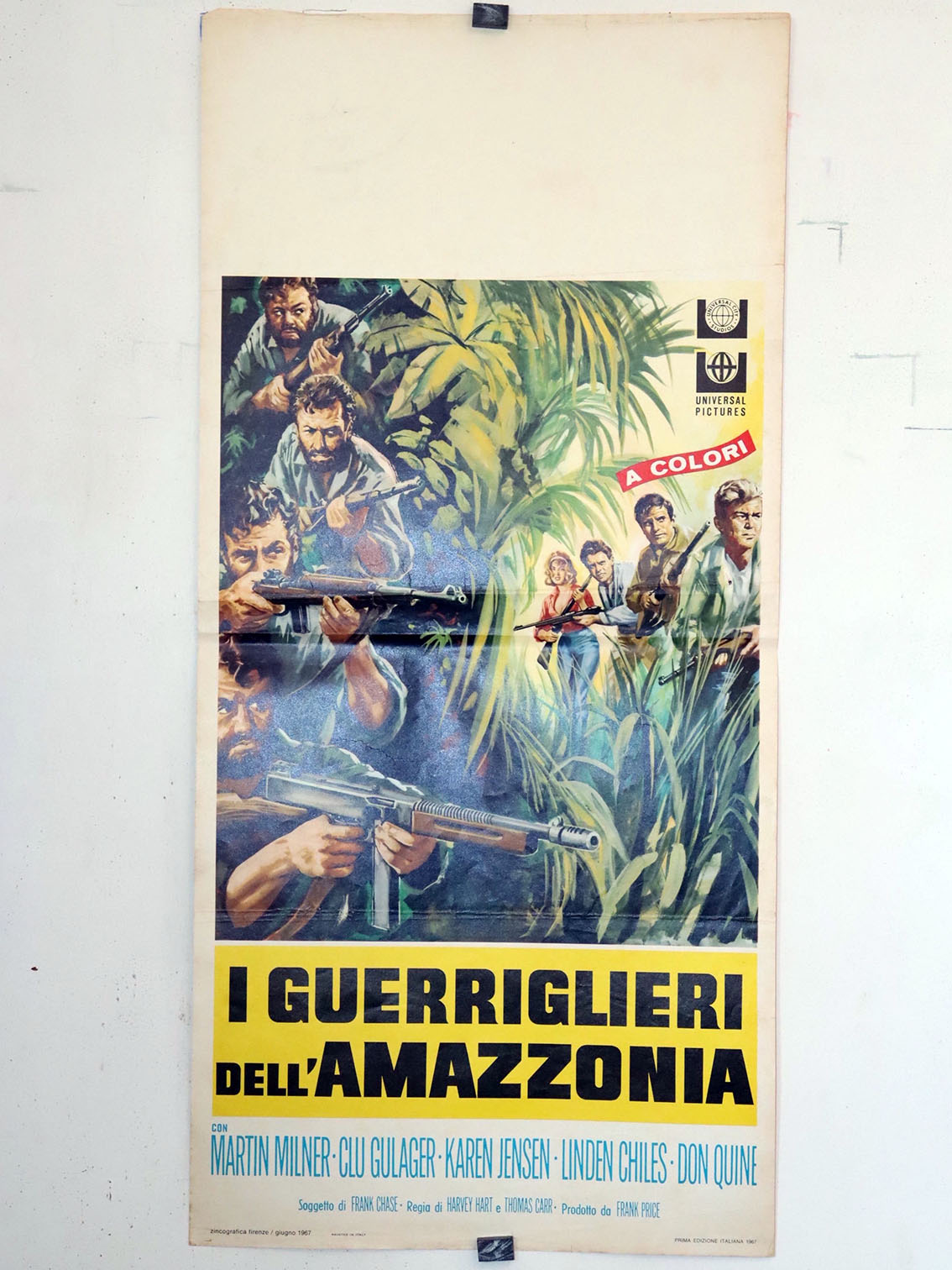 I GUERRIGLIERI DELLAMAZZONIA