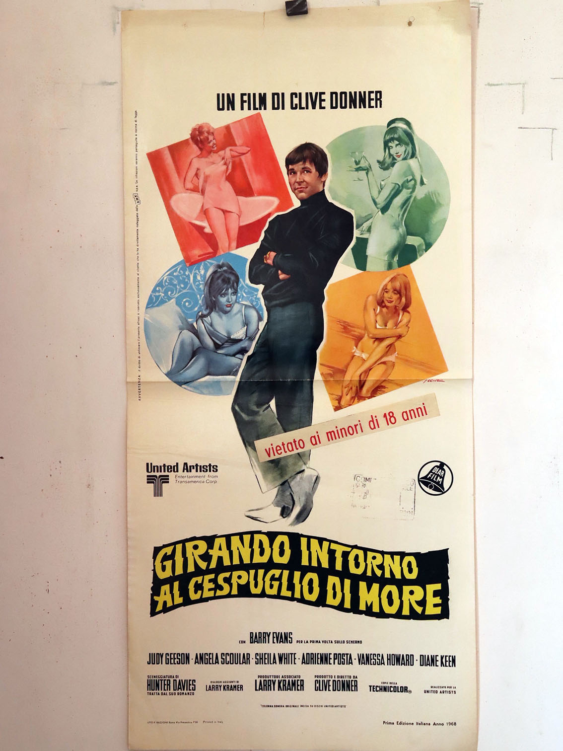 GIRANDO INTORNO AL DESPUGLIO DI MORE