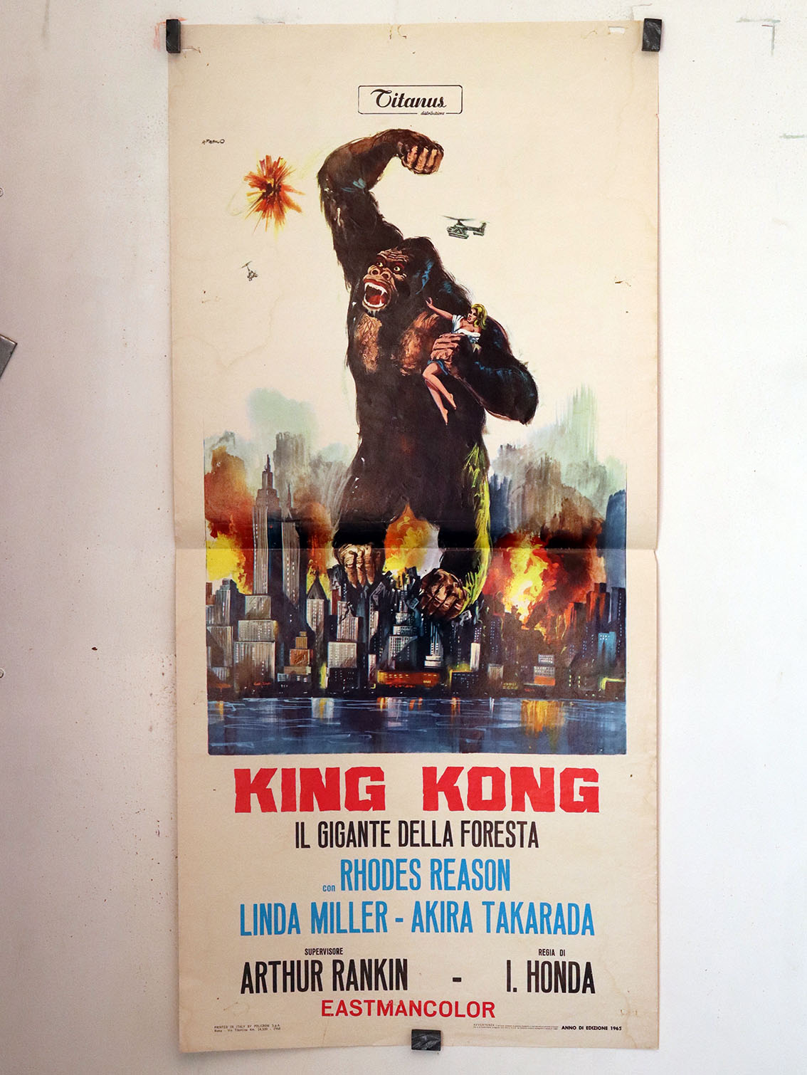 KING KONG IL GIGANTE DELLA FORESTA
